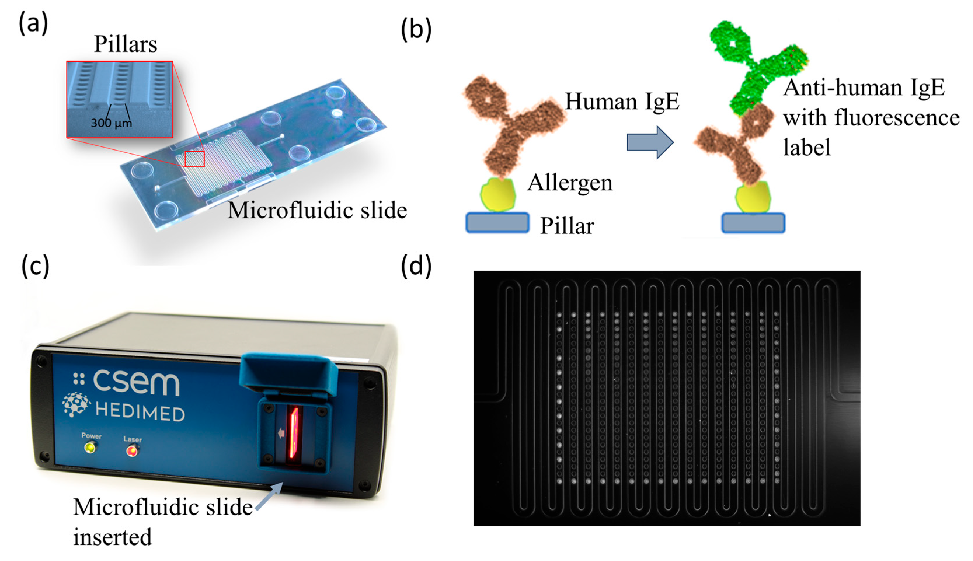 Sensors 24 03280 g001