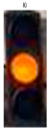 Sensors 24 03282 i009