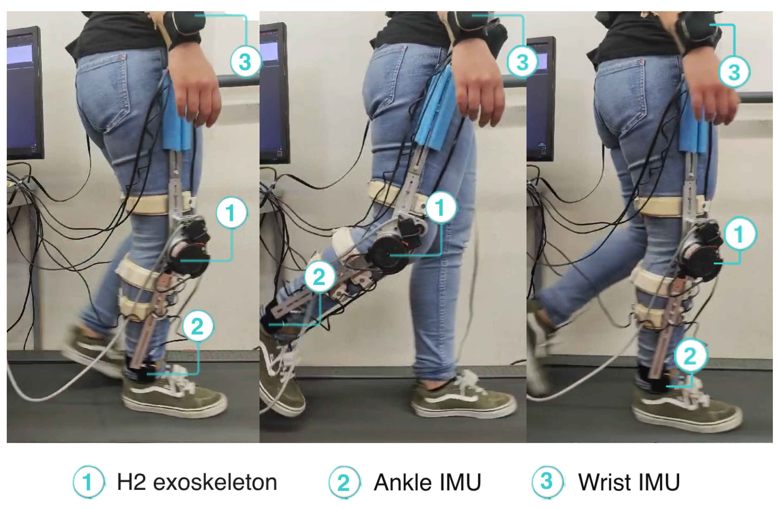 Sensors 24 03305 g005
