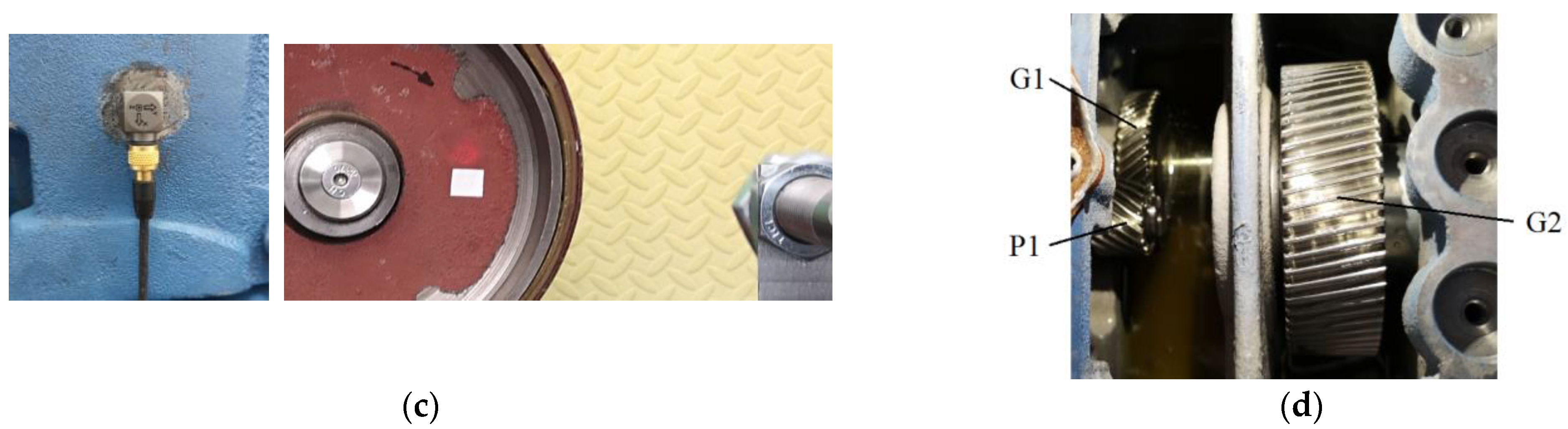 Sensors 24 03337 g001b