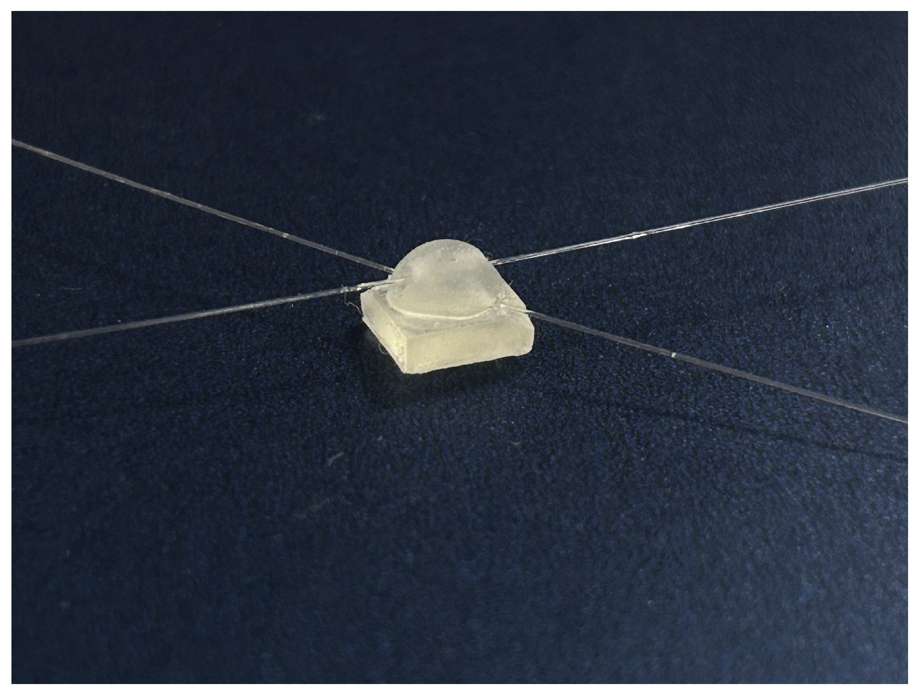 Sensors 24 03374 g009