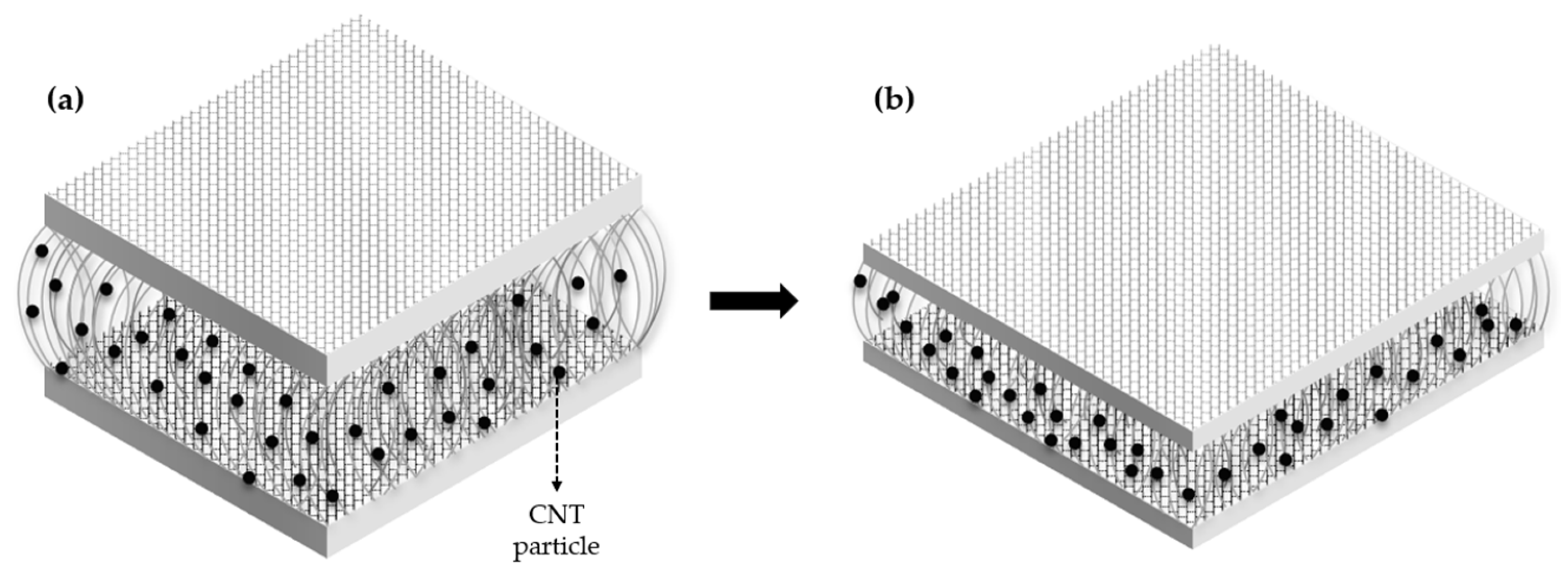 Sensors 24 03395 g001