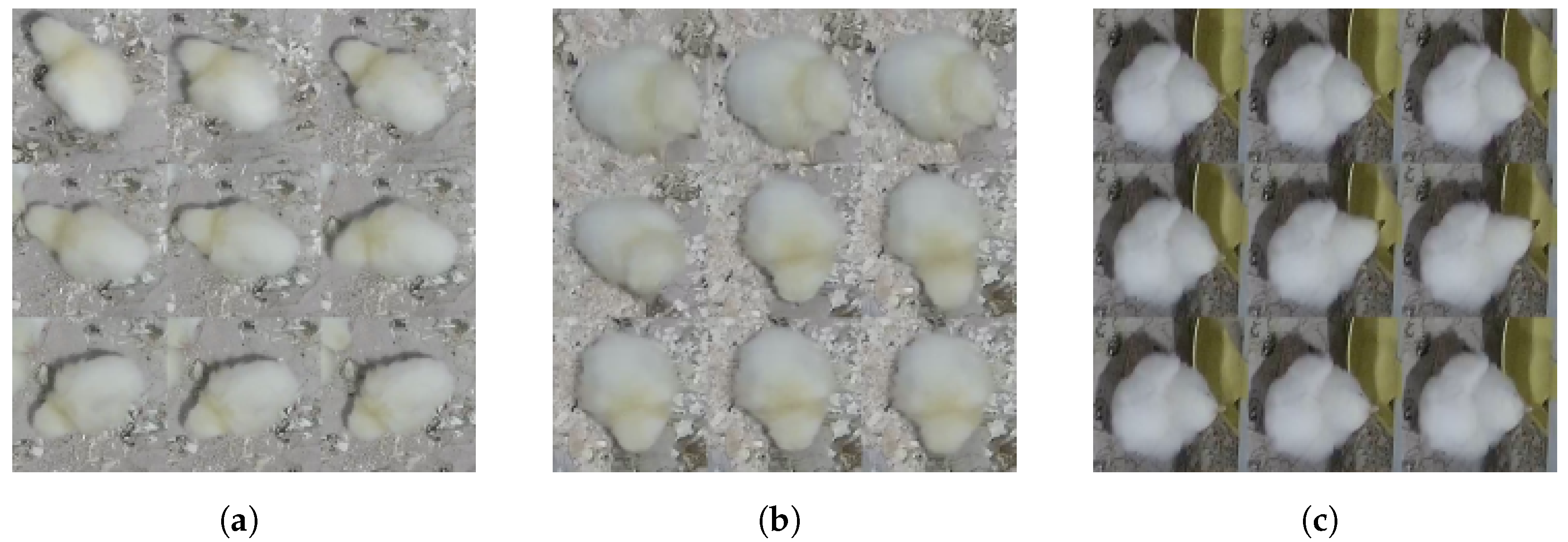 Sensors 24 03409 g004