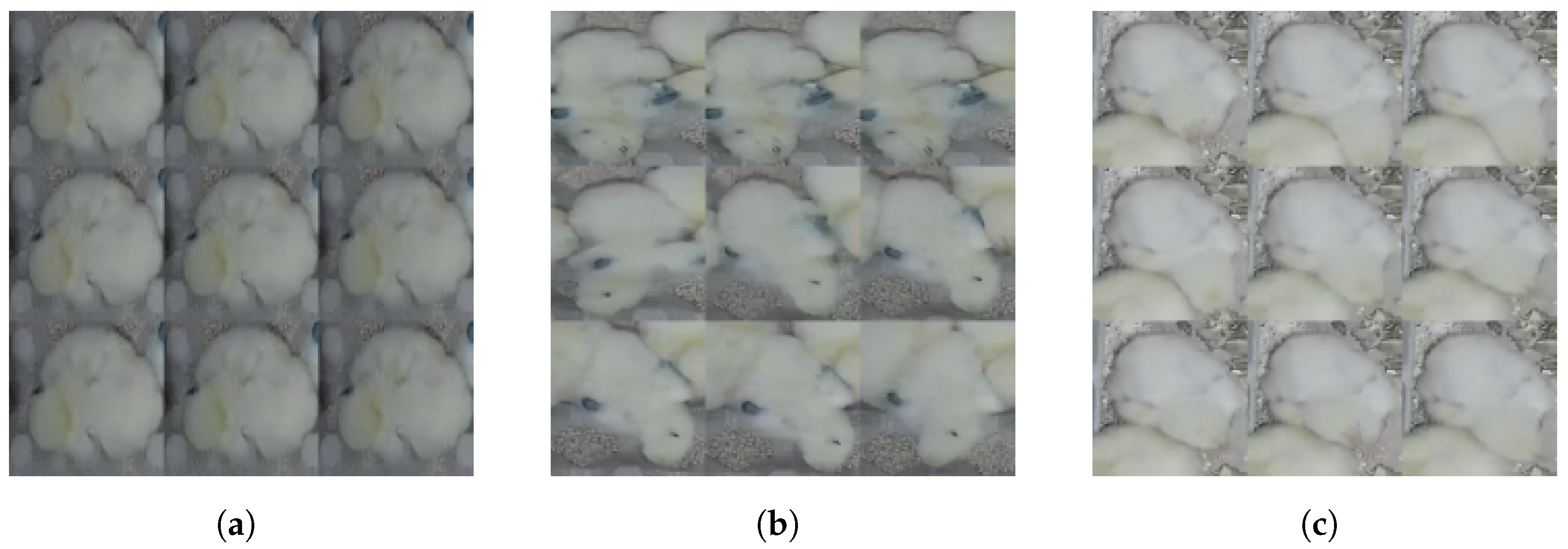 Sensors 24 03409 g005