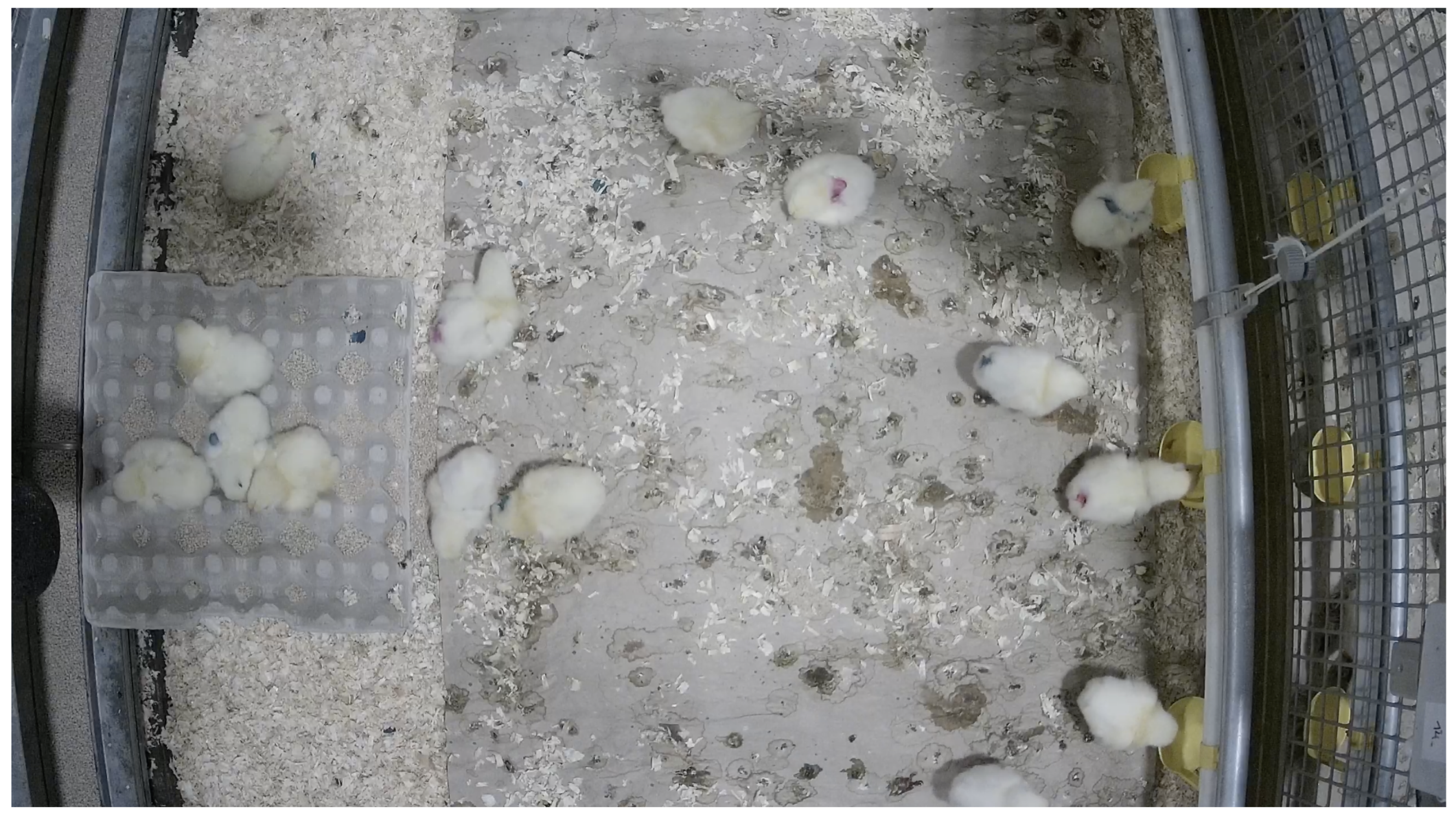 Sensors 24 03409 g006