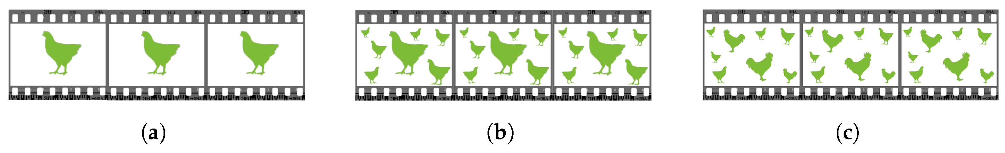 Sensors 24 03409 g012
