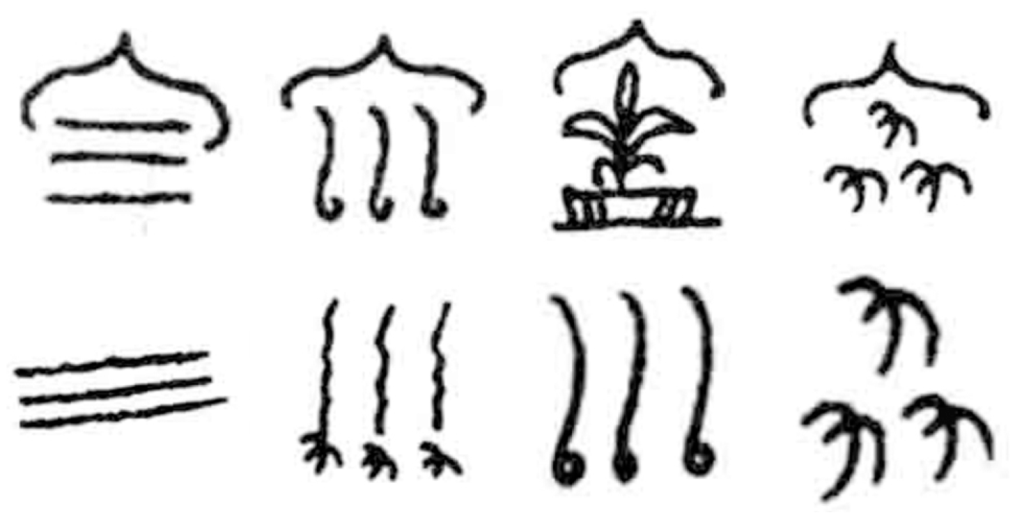 Sensors 24 03424 g007