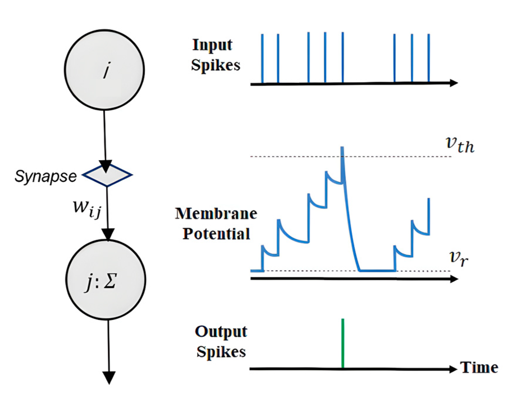 Sensors 24 03426 g004