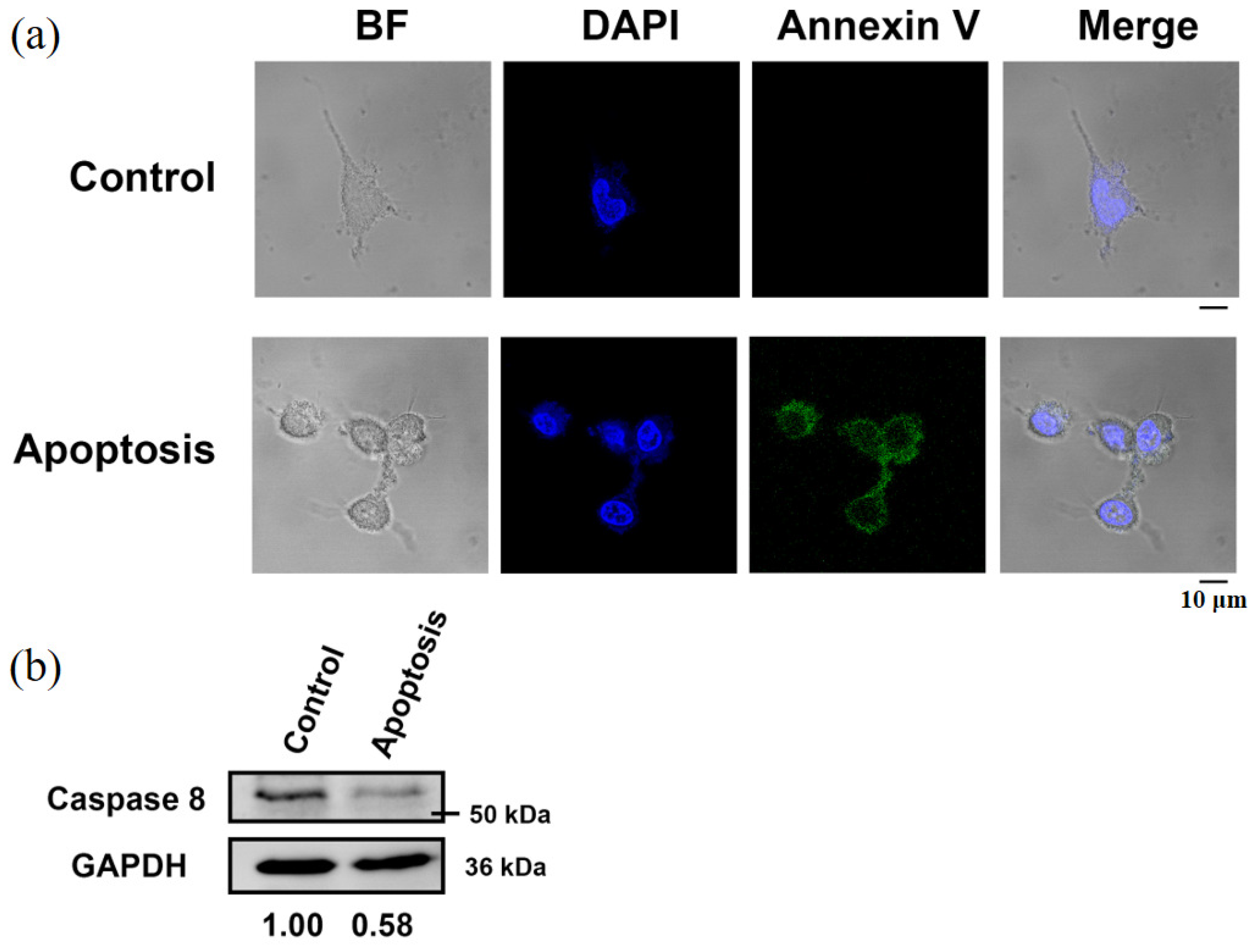 Sensors 24 03435 g003