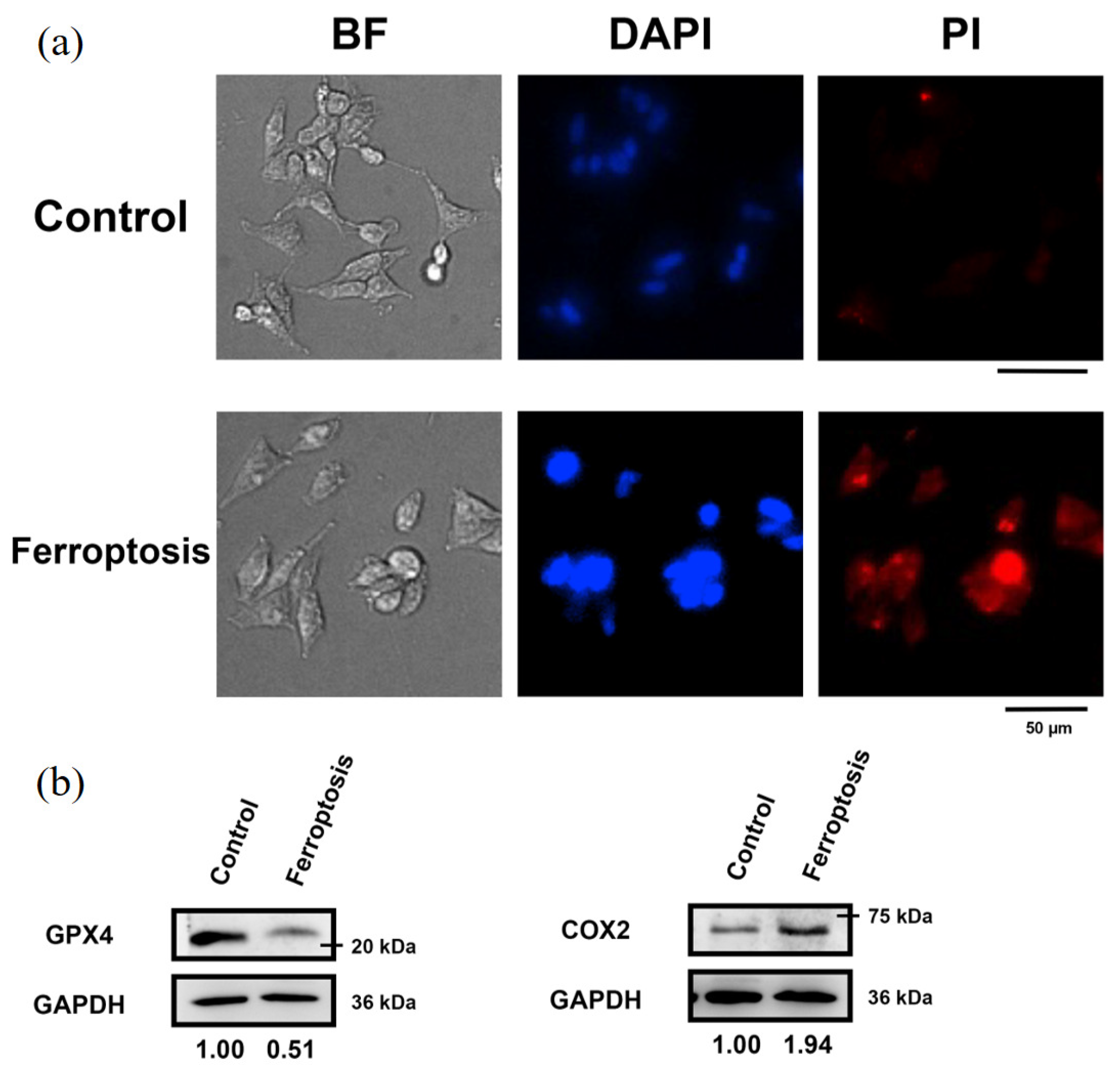Sensors 24 03435 g004