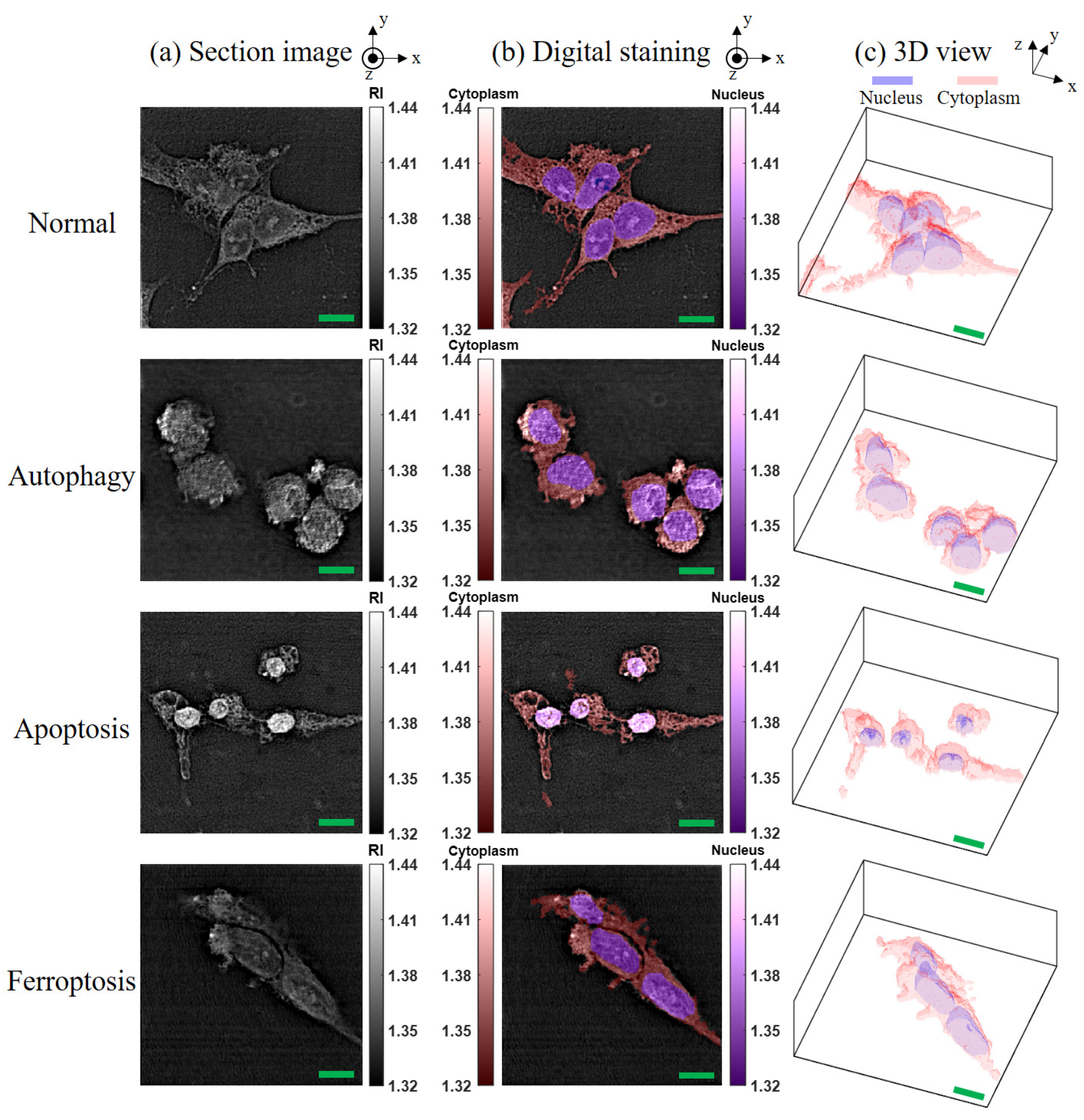 Sensors 24 03435 g005