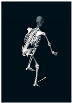 Sensors 24 03453 i004