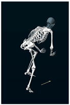 Sensors 24 03453 i006