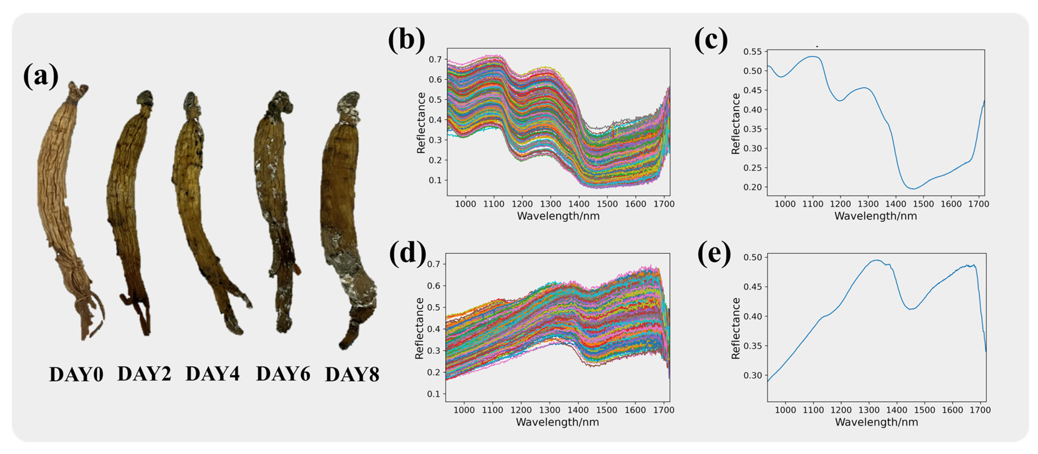Sensors 24 03457 g003