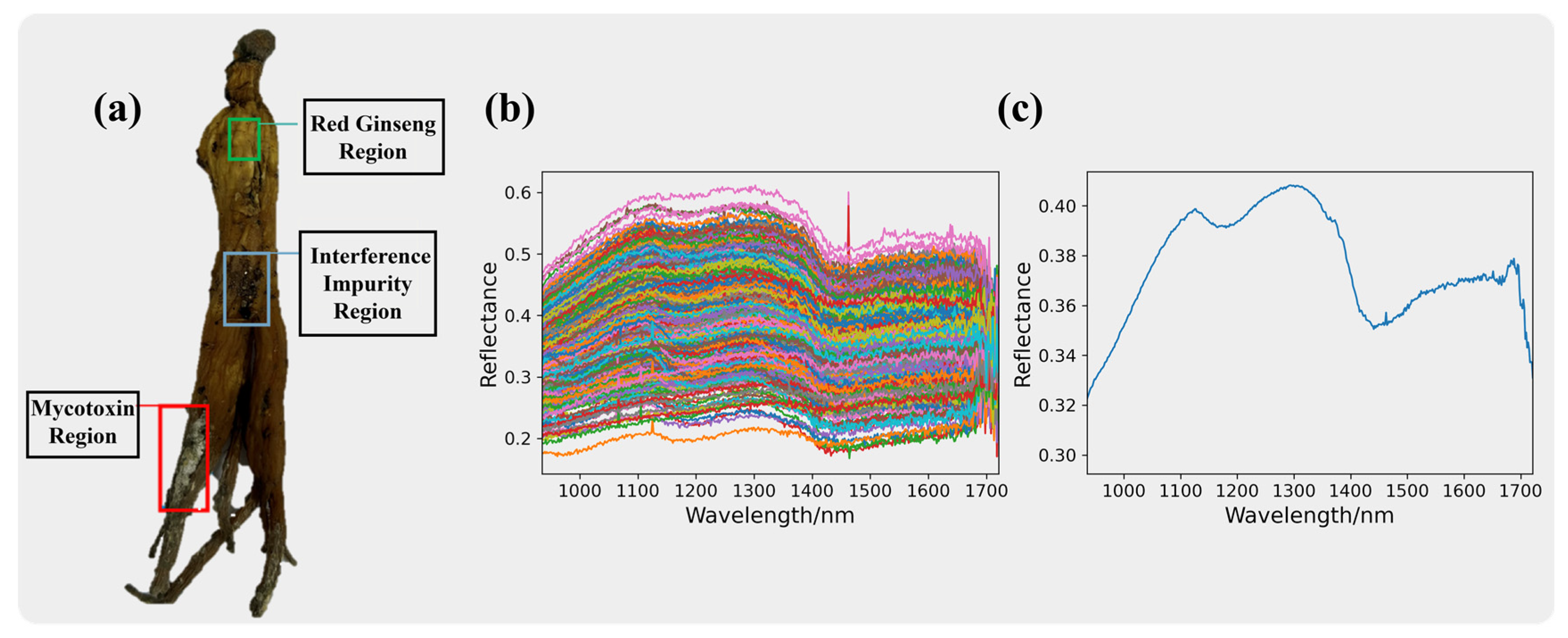 Sensors 24 03457 g004