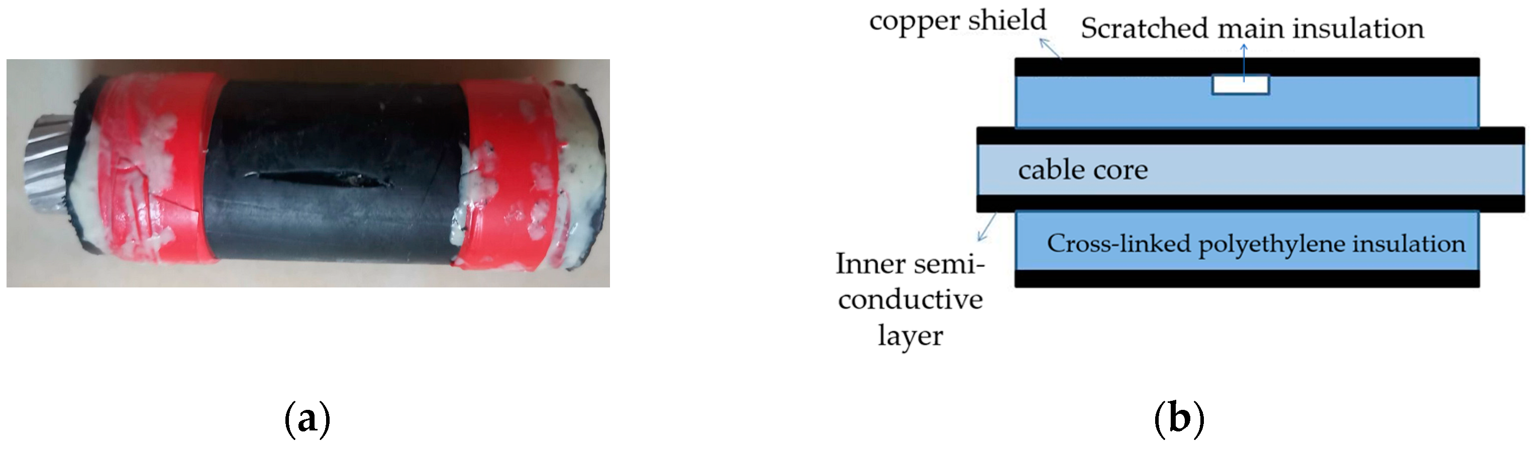Sensors 24 03460 g003
