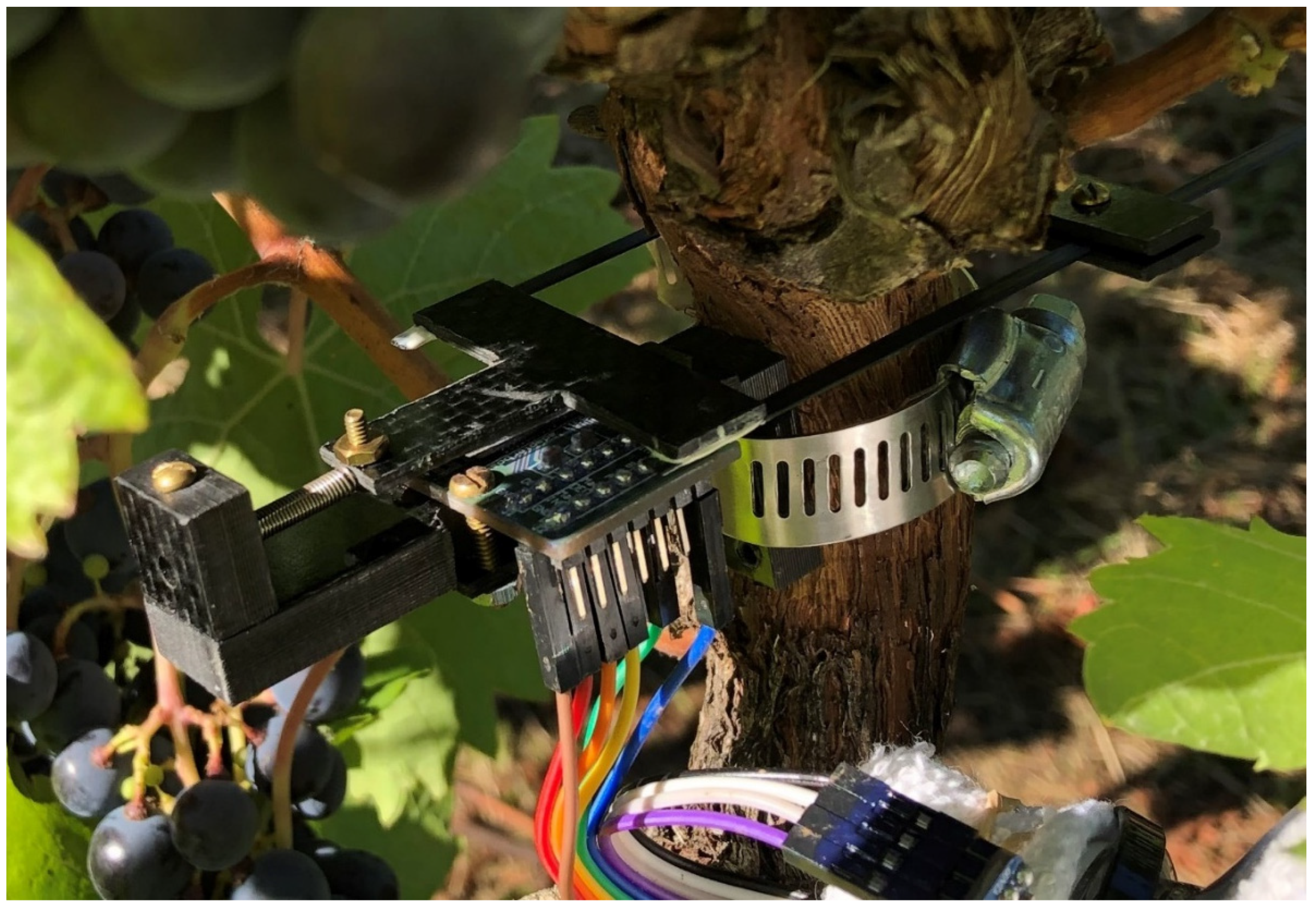 Sensors 24 03466 g019