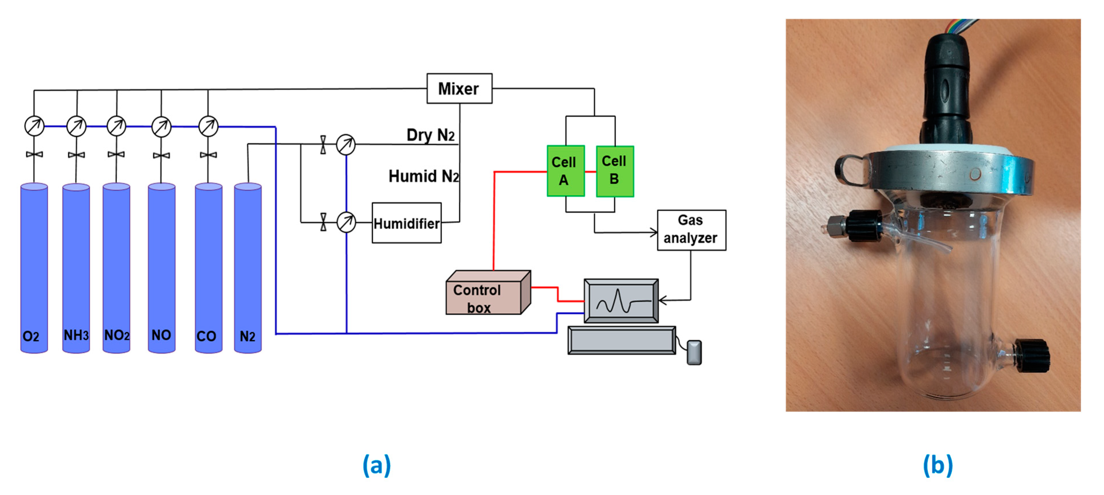 Sensors 24 03499 g001