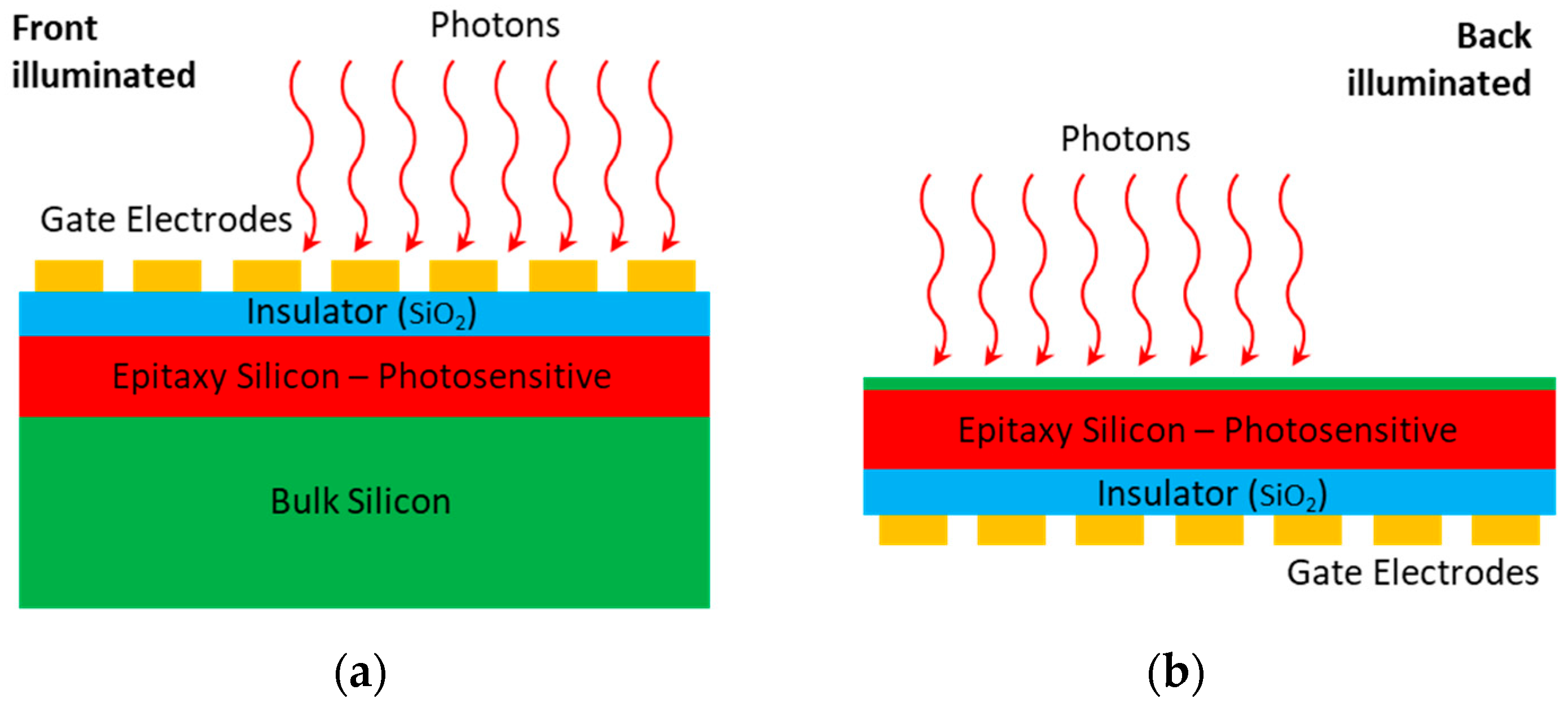 Sensors 24 03539 g001