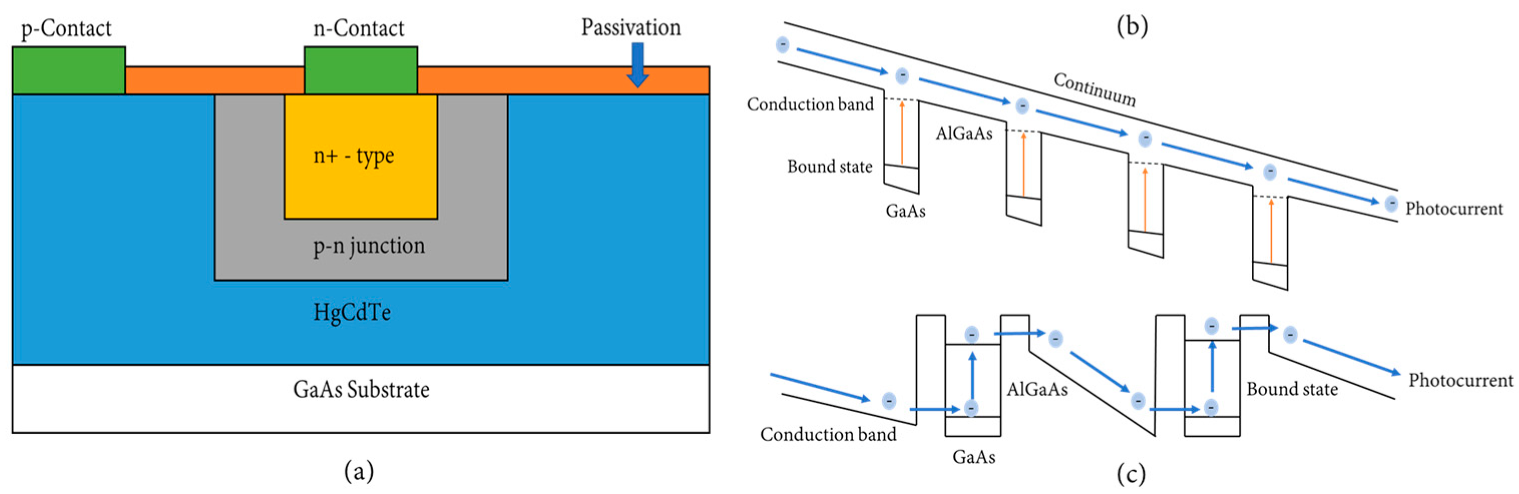 Sensors 24 03539 g006