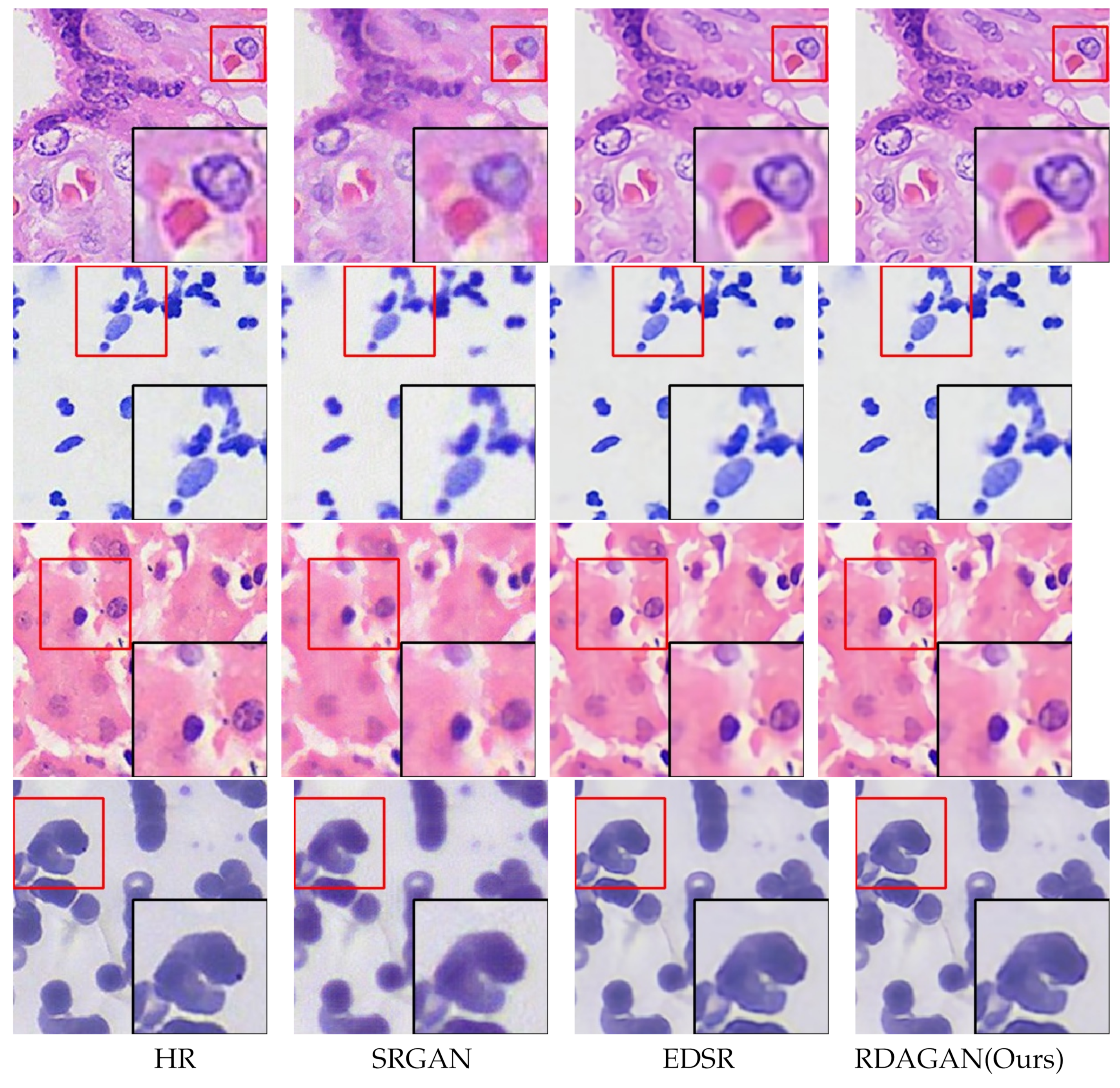 Sensors 24 03560 g005