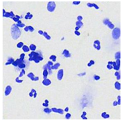 Sensors 24 03560 i002