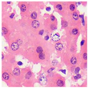 Sensors 24 03560 i003