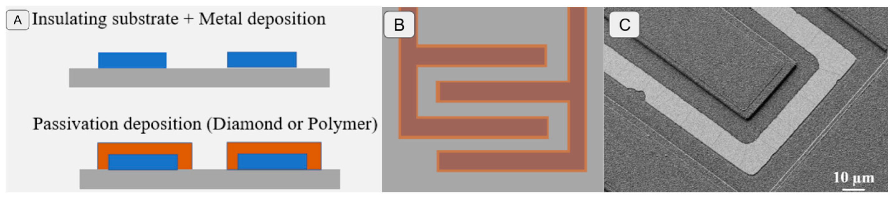Sensors 24 03619 g002