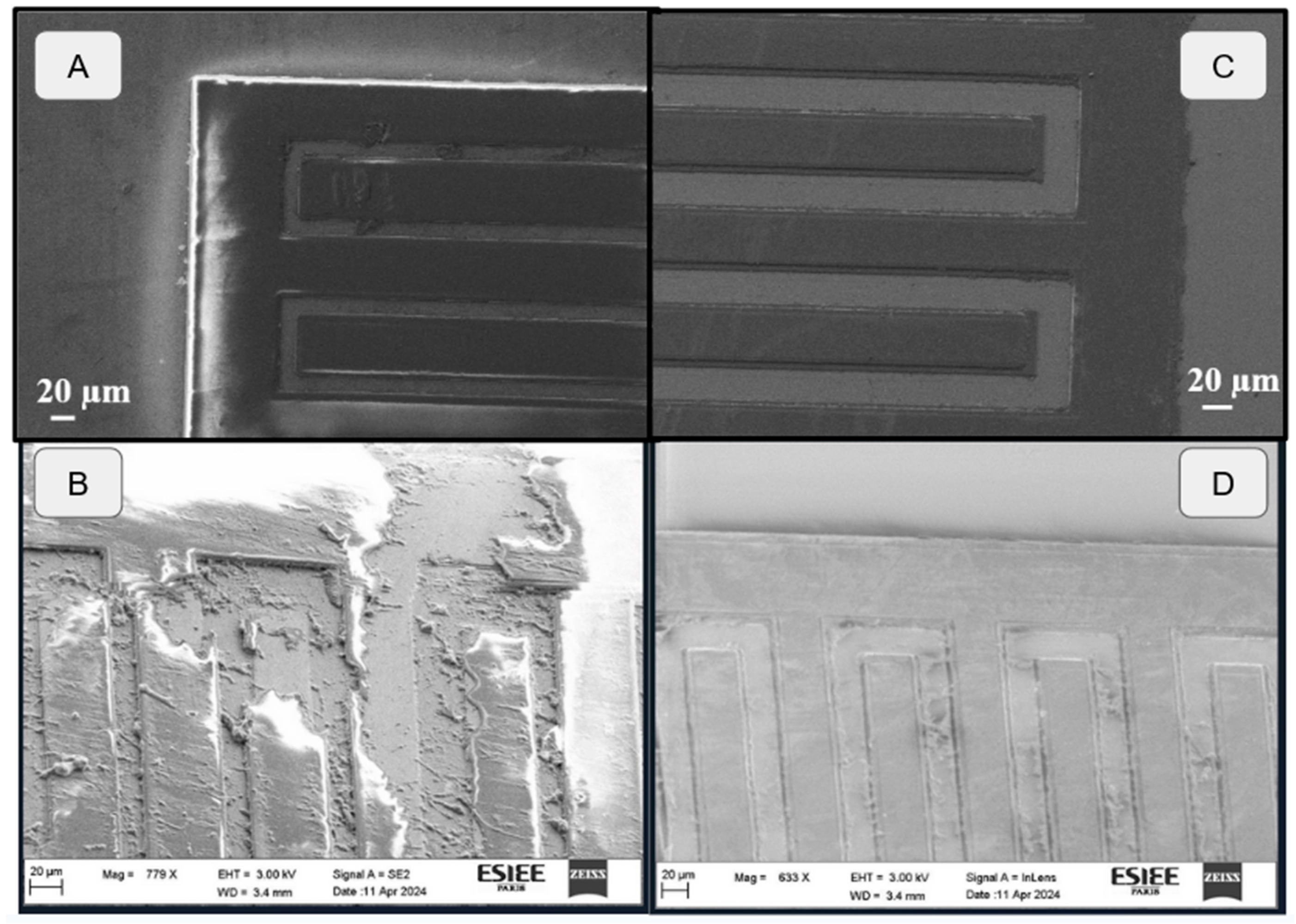 Sensors 24 03619 g010