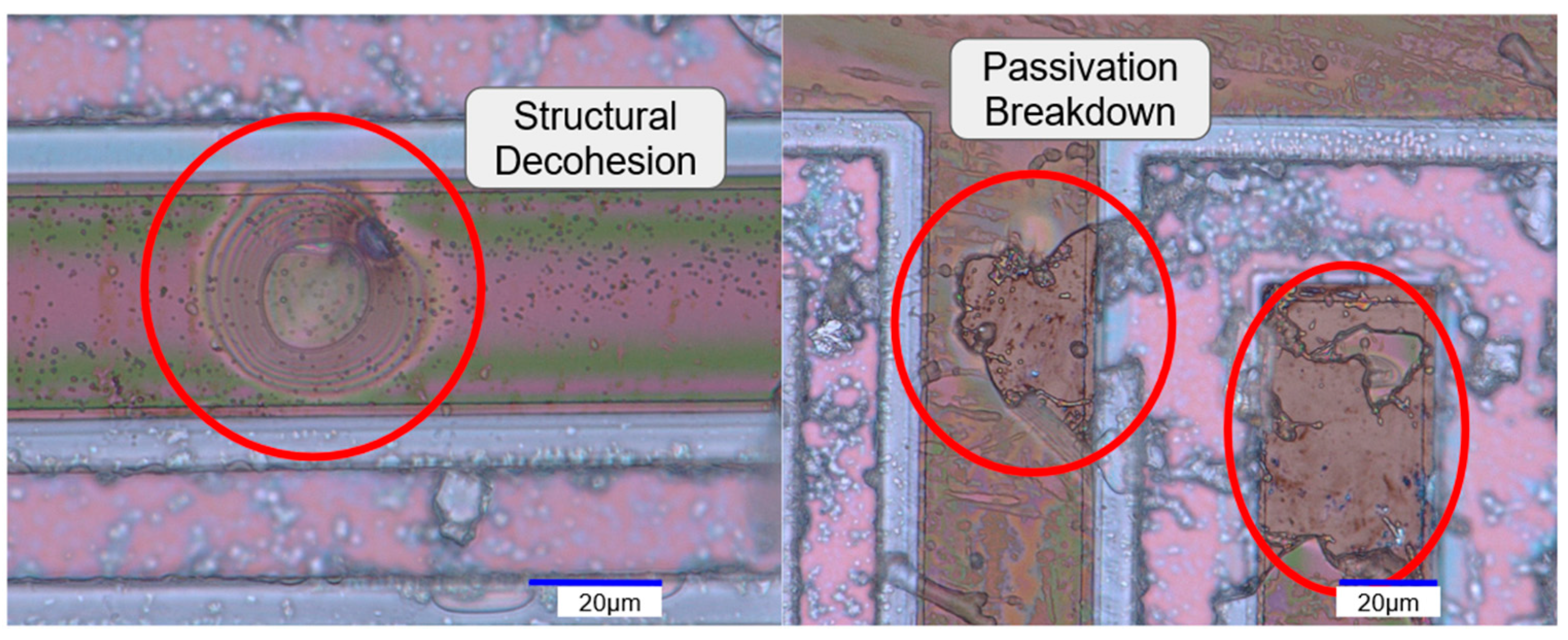 Sensors 24 03619 g011