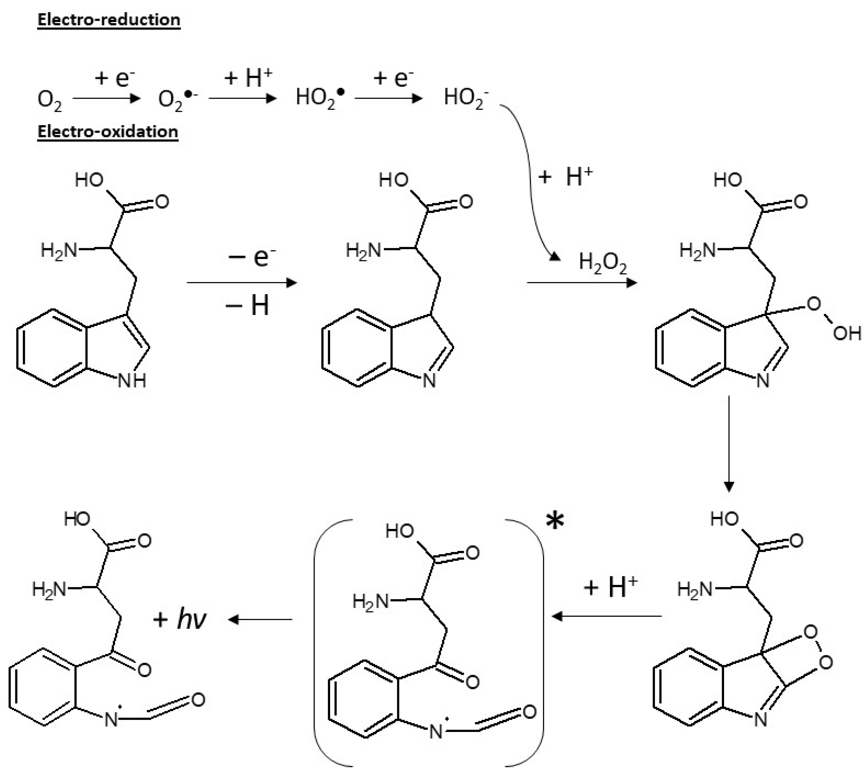 Sensors 24 03627 g004