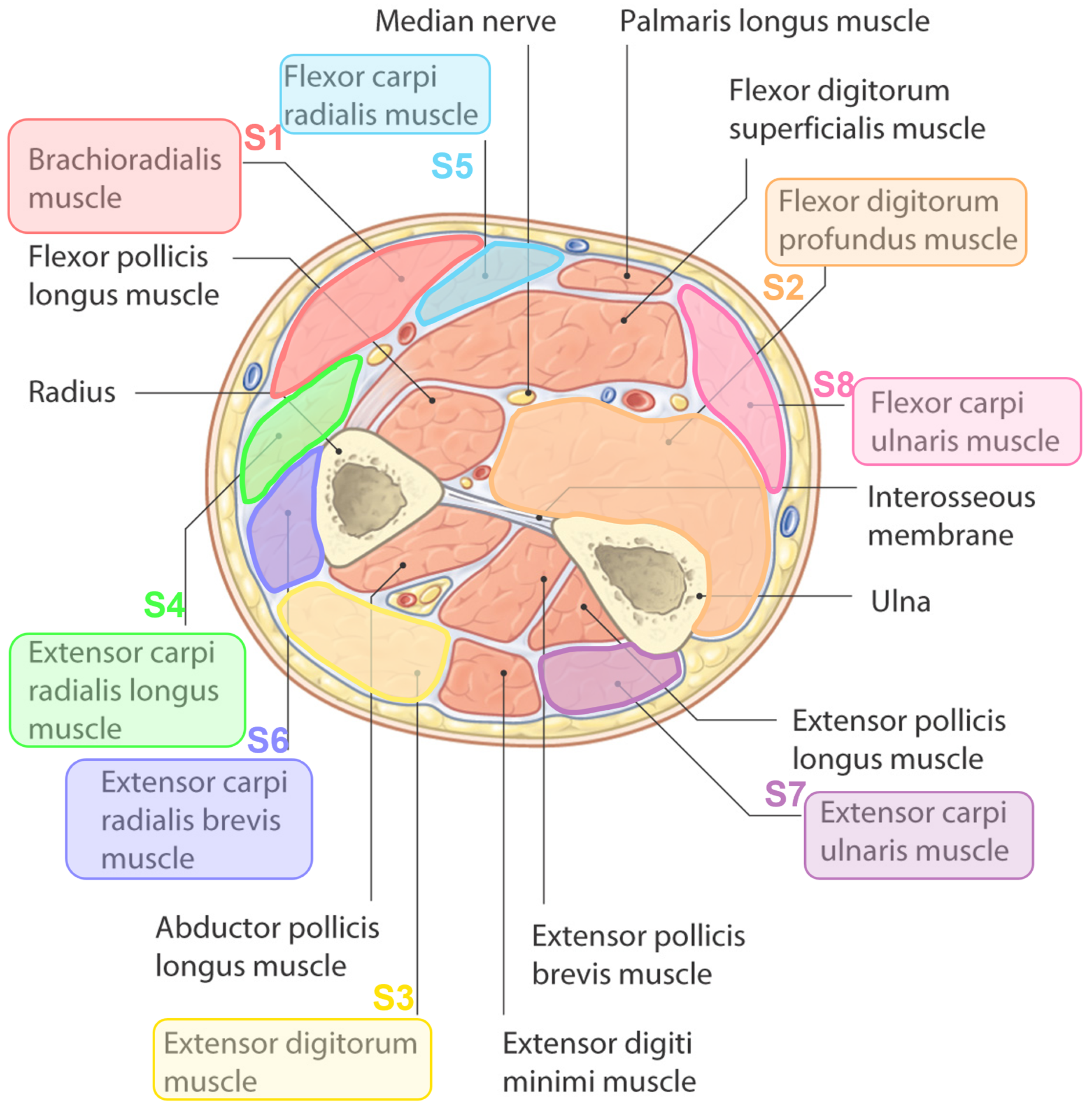 Sensors 24 03638 g003