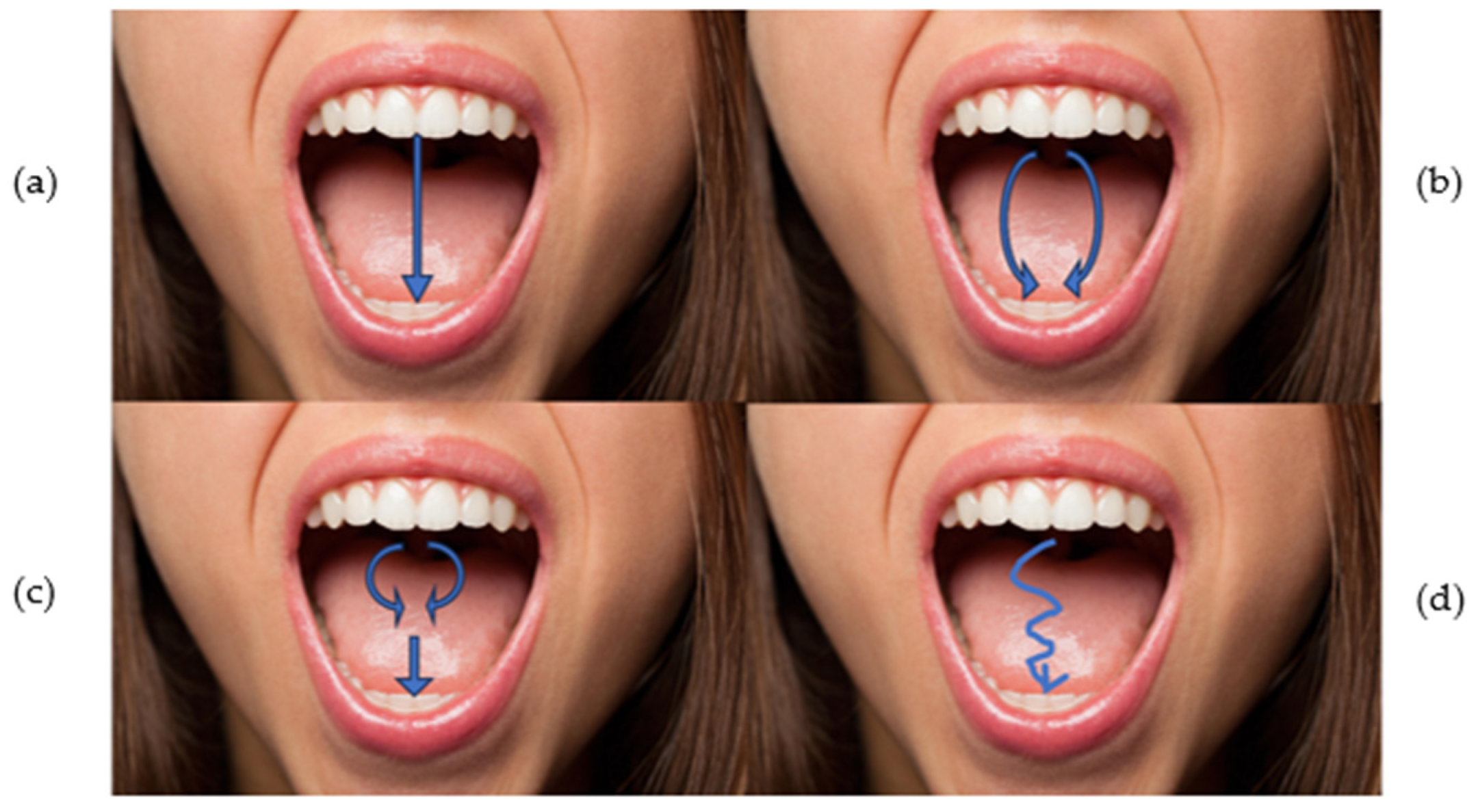 Sensors 24 03646 g001