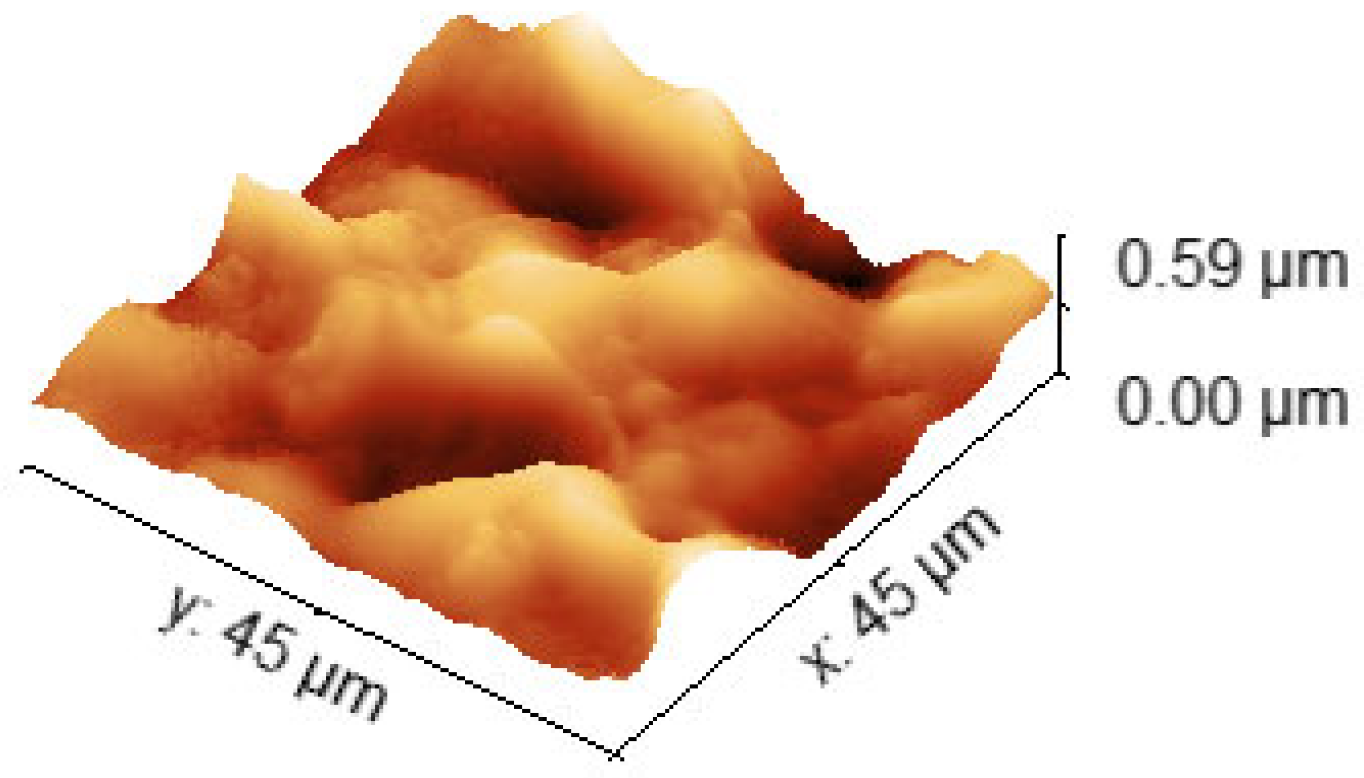 Sensors 24 03651 g004