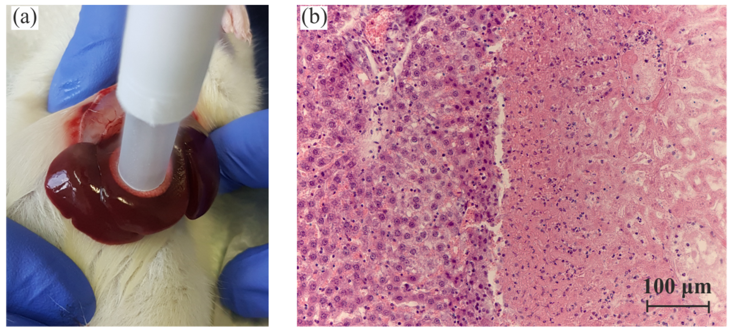 Sensors 24 03655 g005