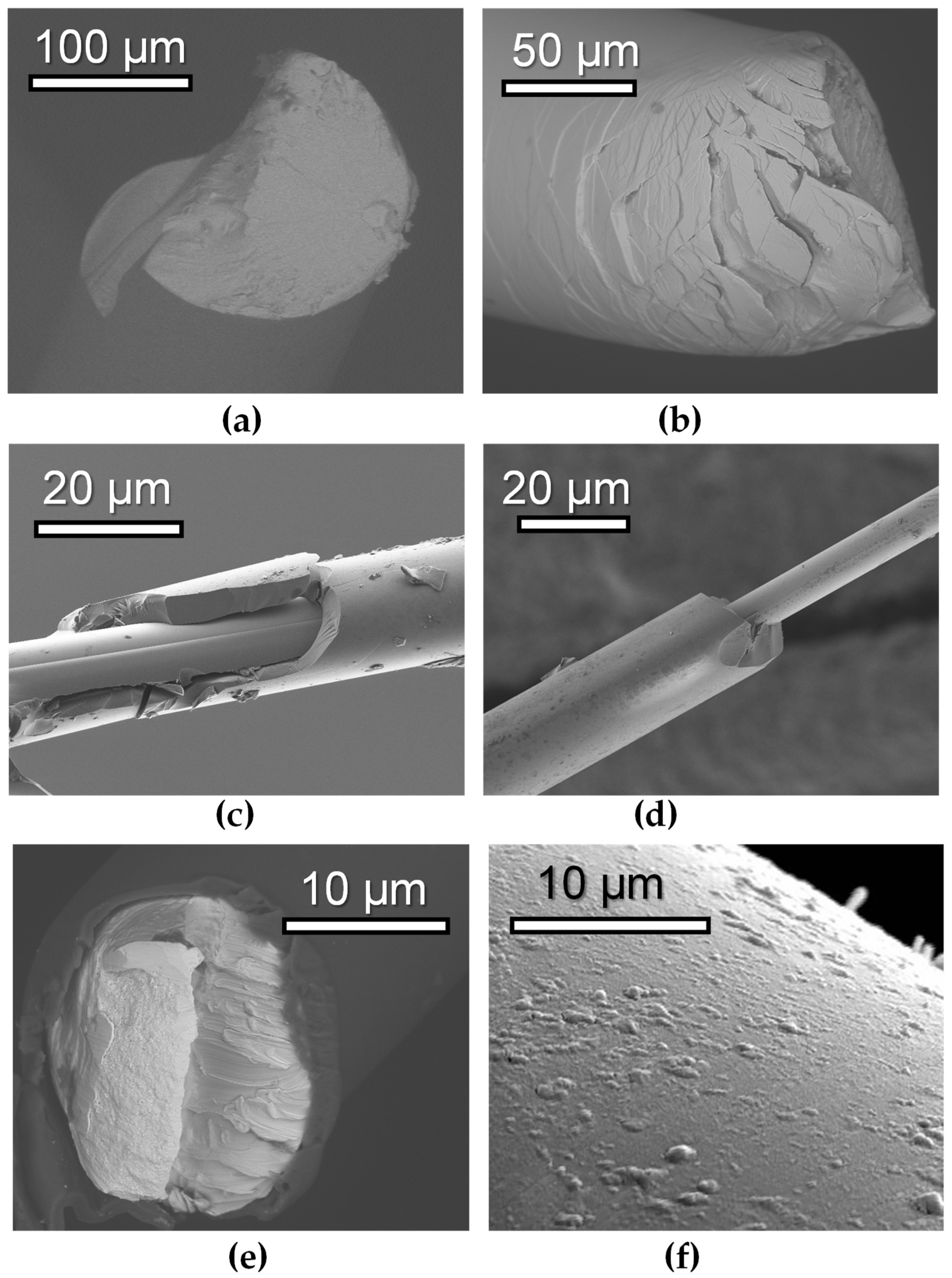 Sensors 24 03669 g001