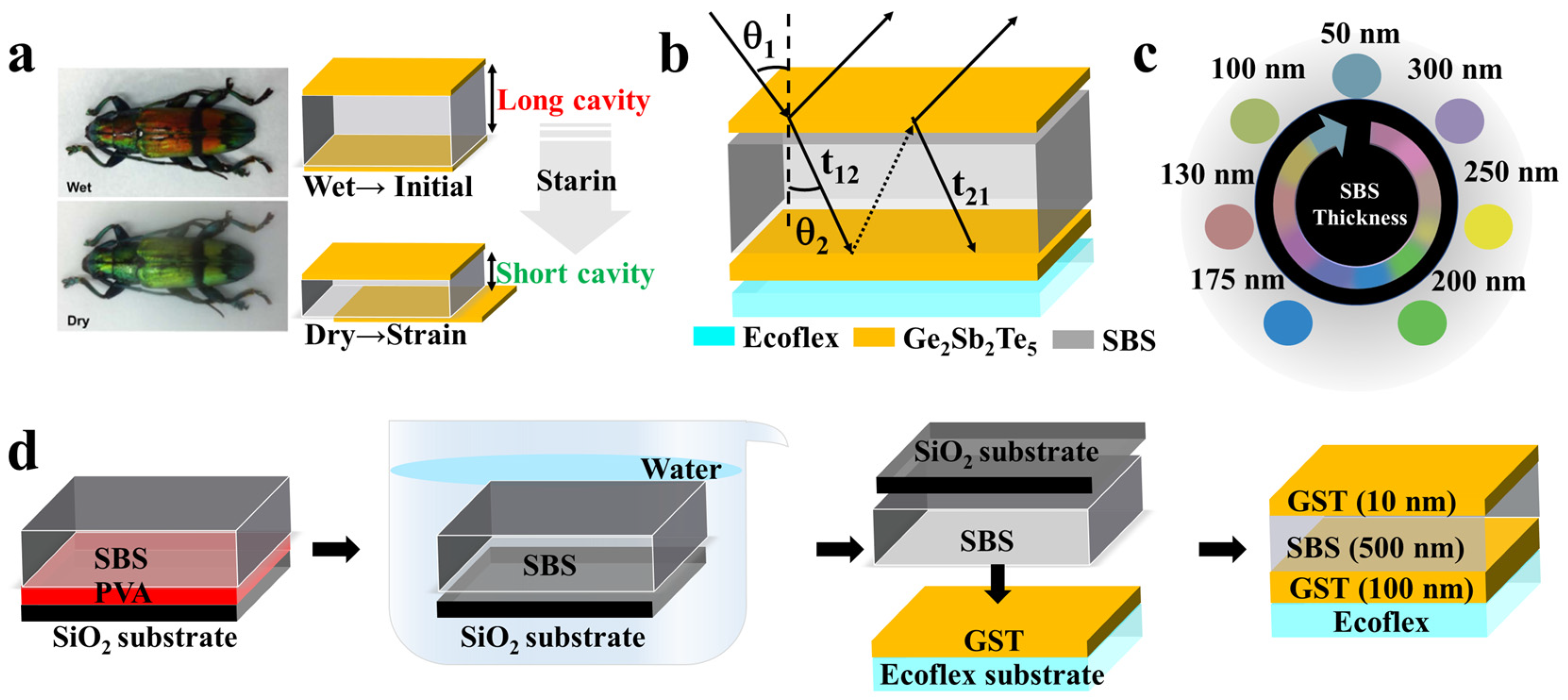 Sensors 24 03676 g001