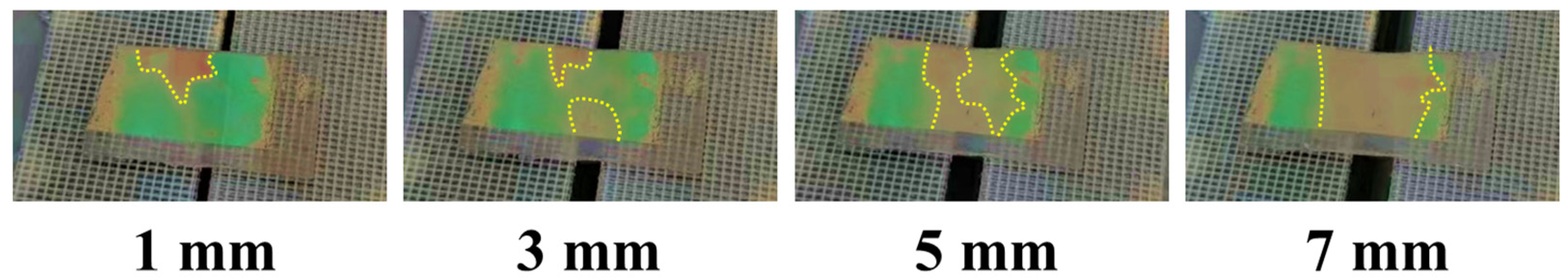 Sensors 24 03676 g007