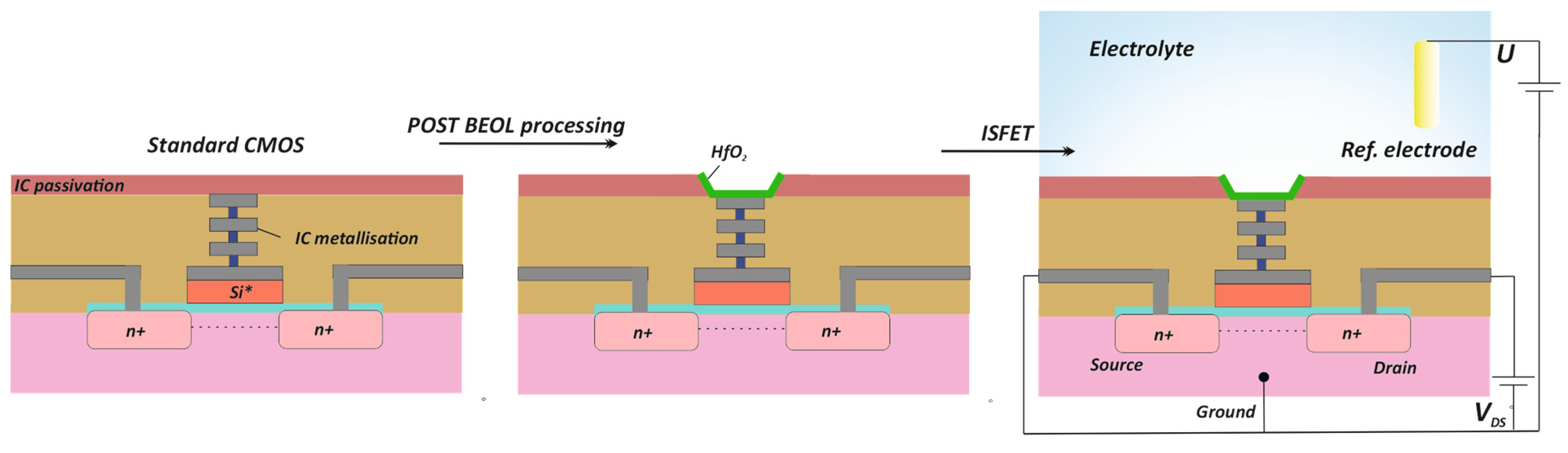 Sensors 24 03681 g001
