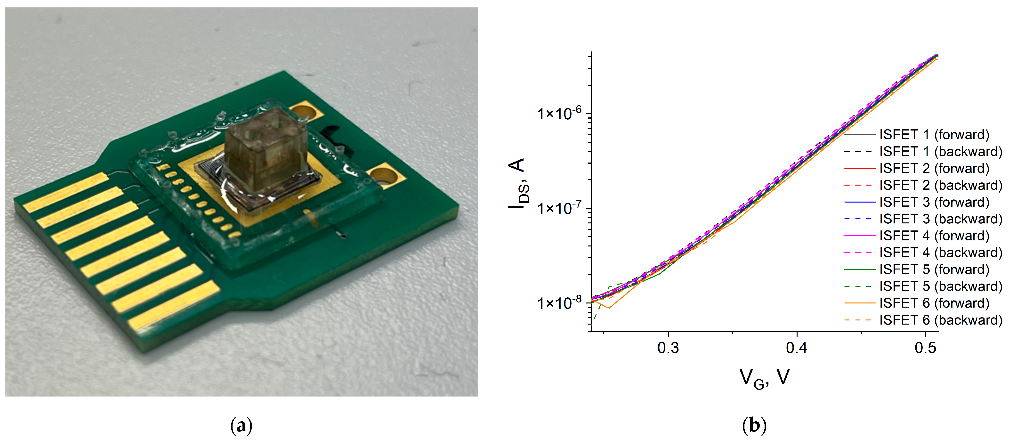 Sensors 24 03681 g005
