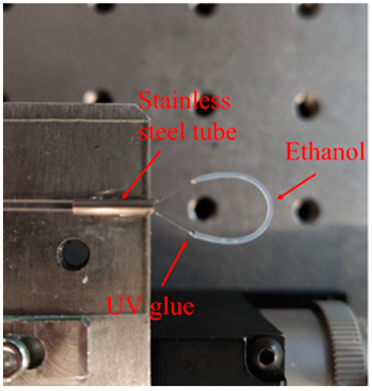 Sensors 24 03684 g002