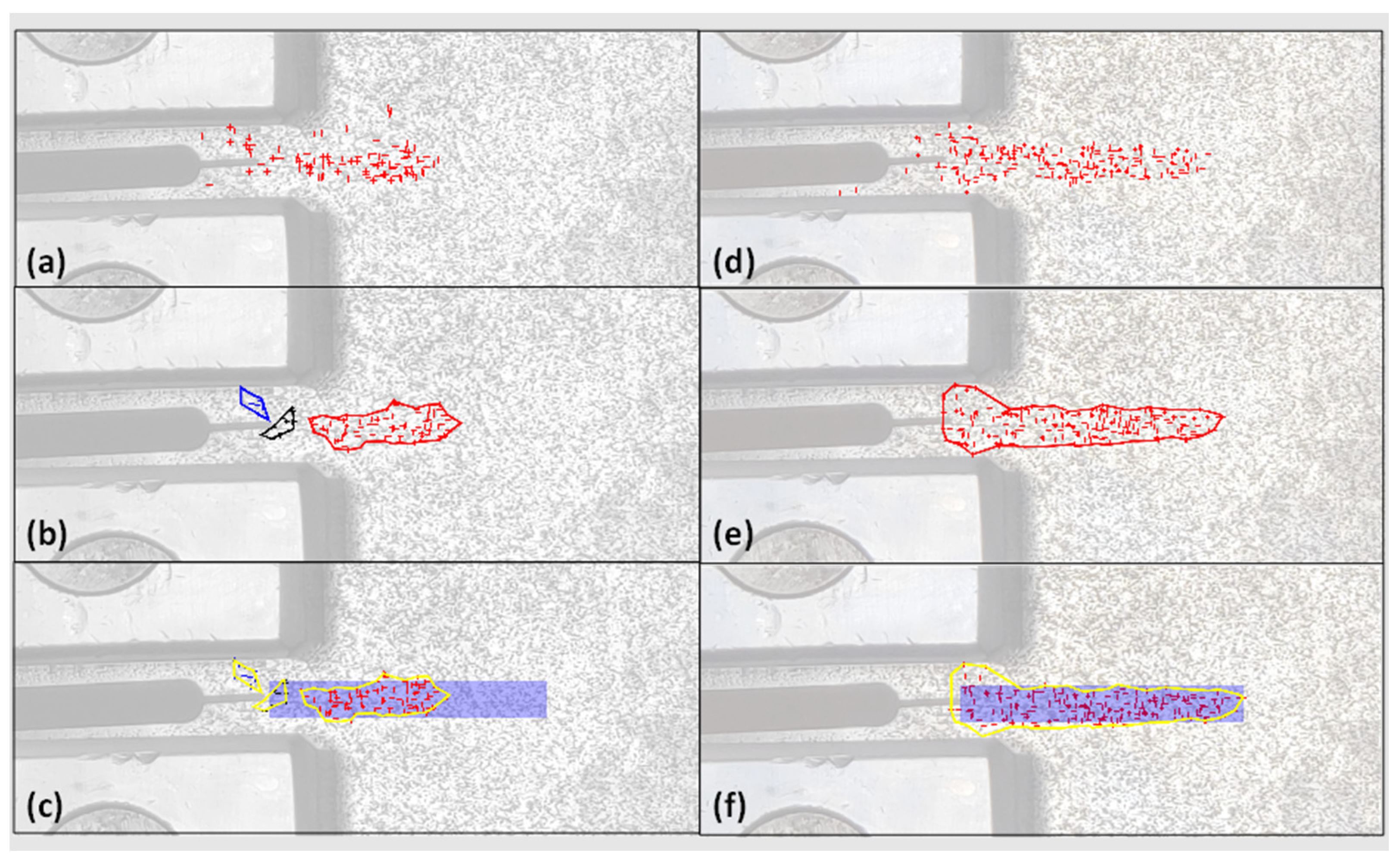 Sensors 24 03685 g011