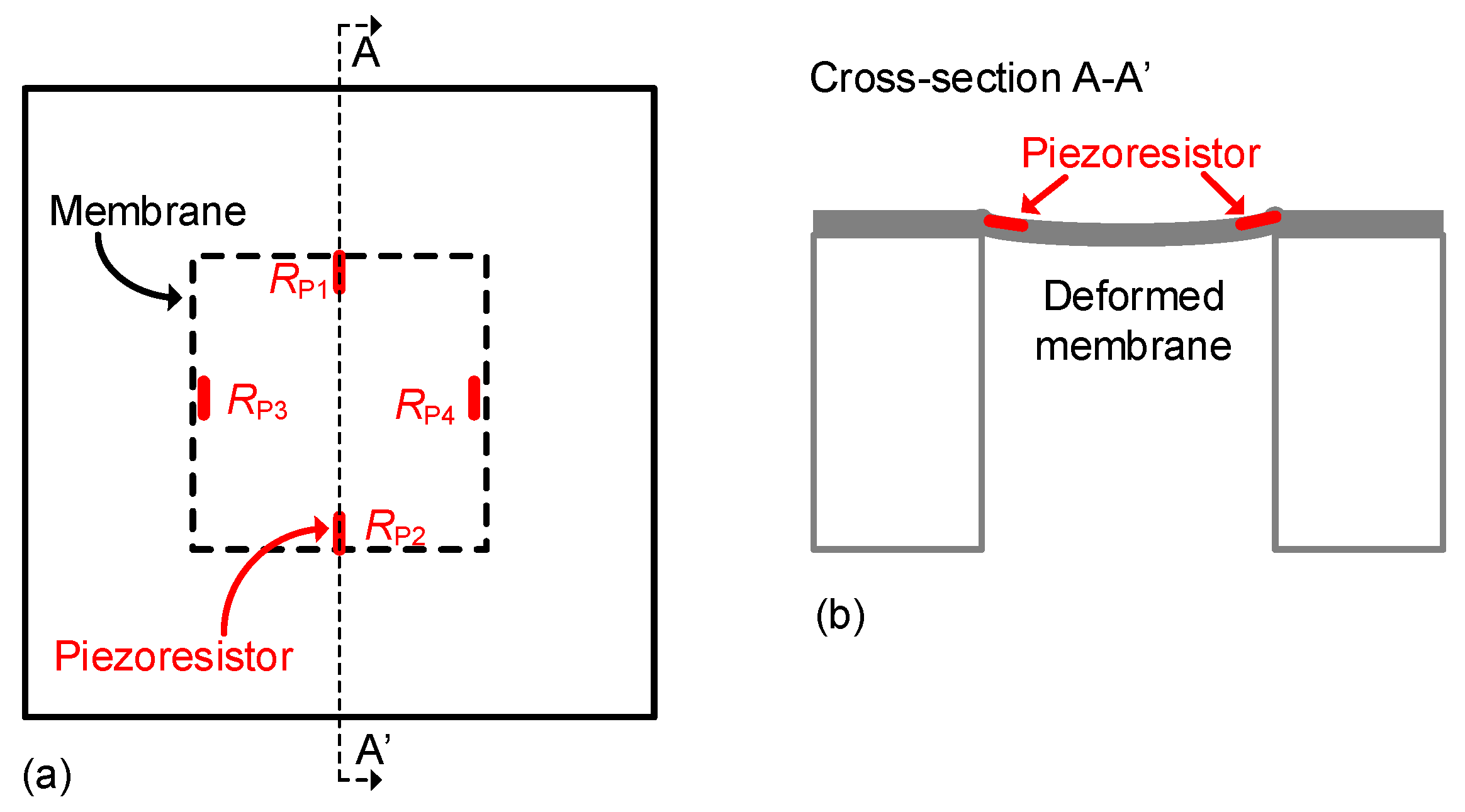 Sensors 24 03690 g005