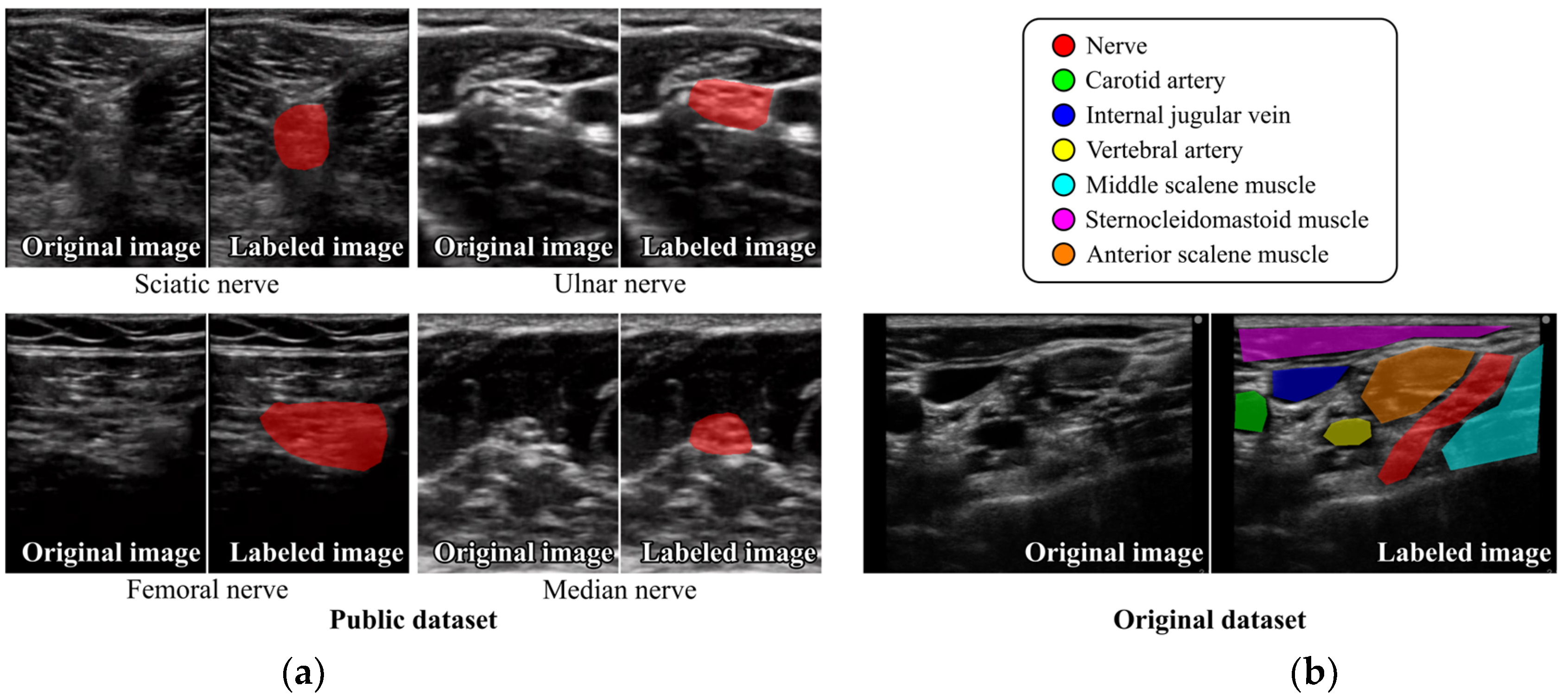 Sensors 24 03696 g001