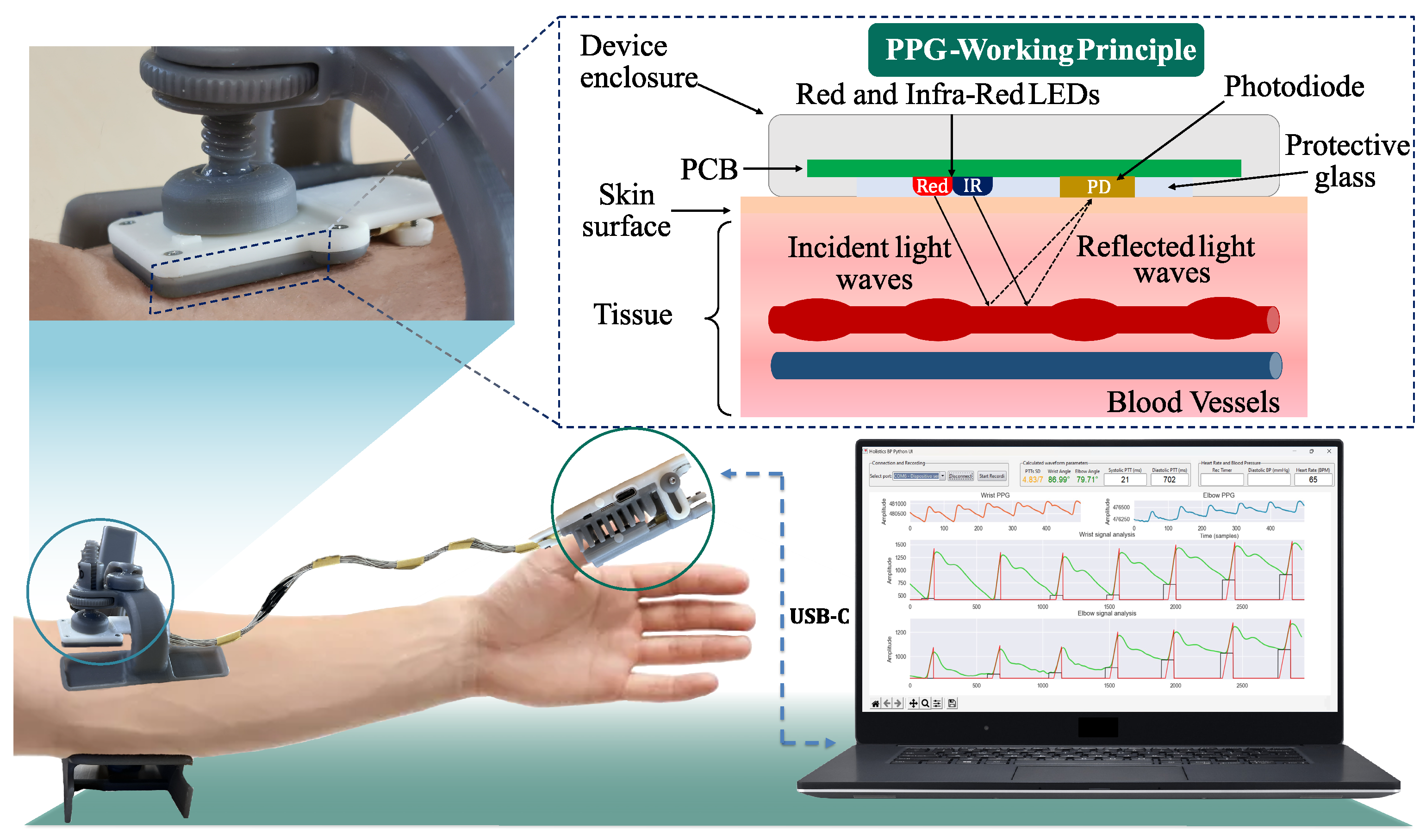 Sensors 24 03697 g001