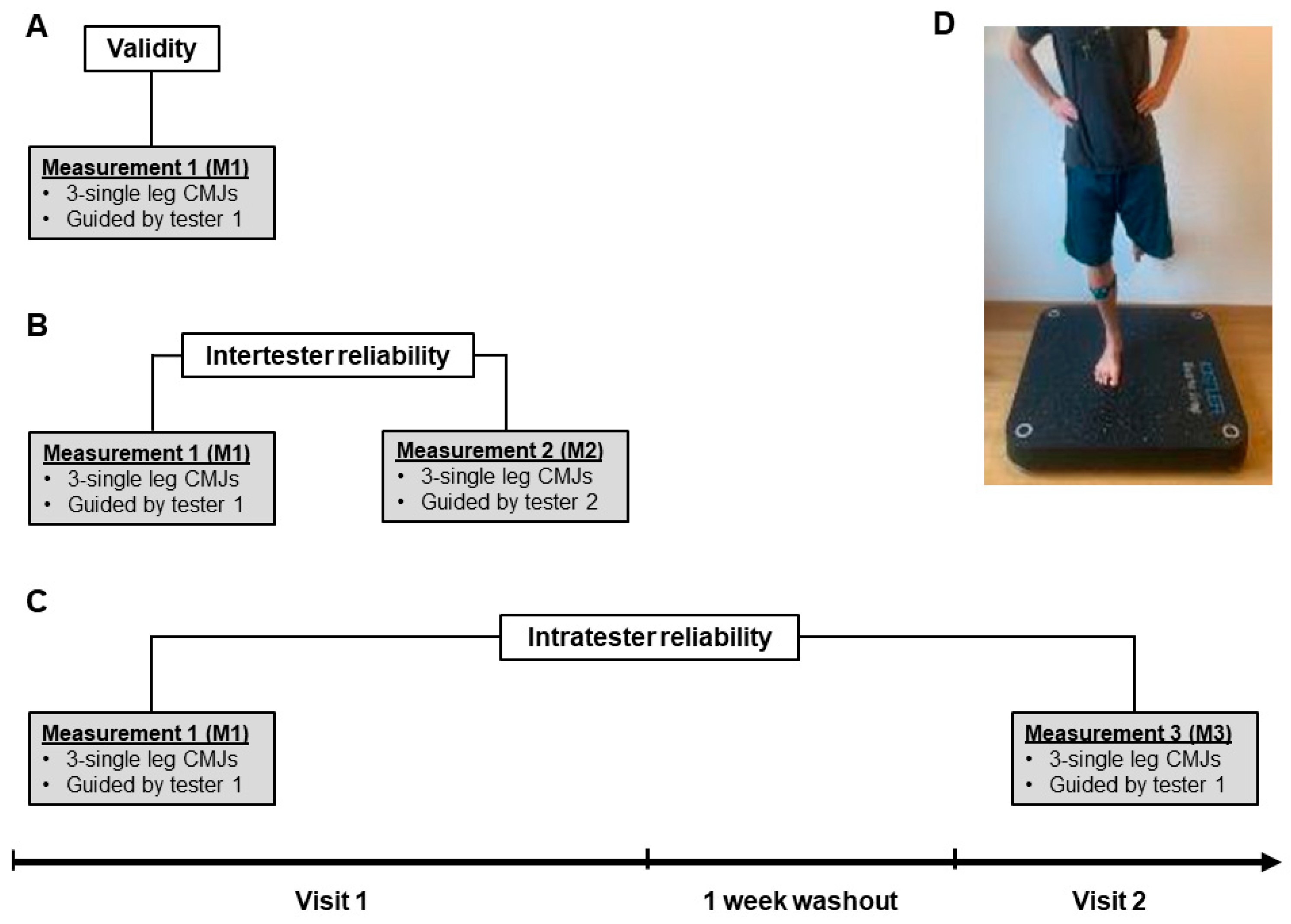 Sensors 24 03699 g001