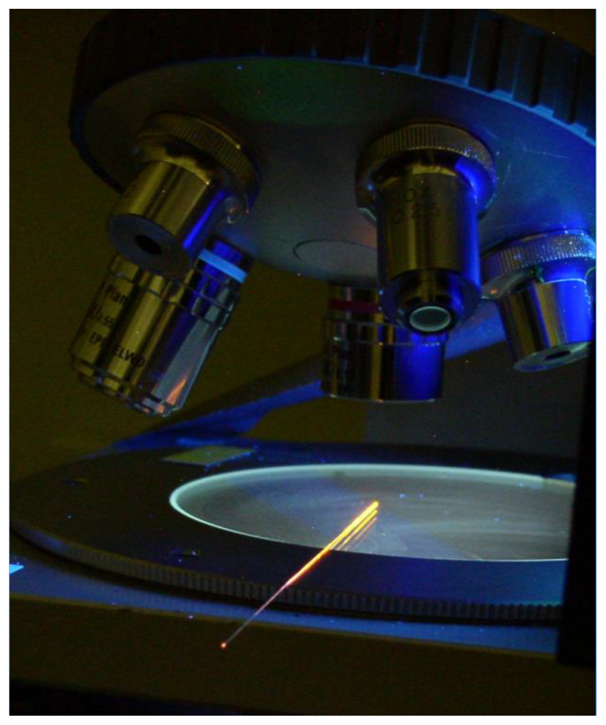 Sensors 24 03707 g001