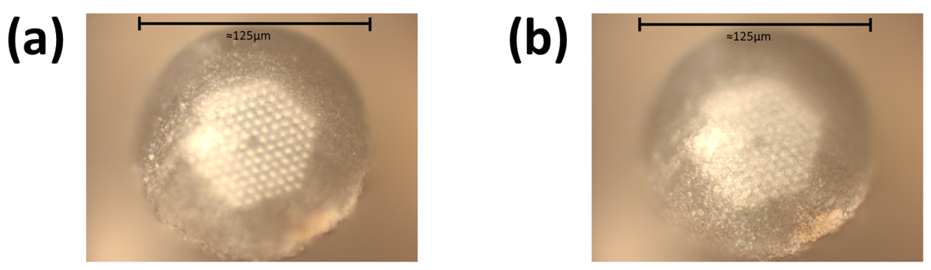 Sensors 24 03707 g004