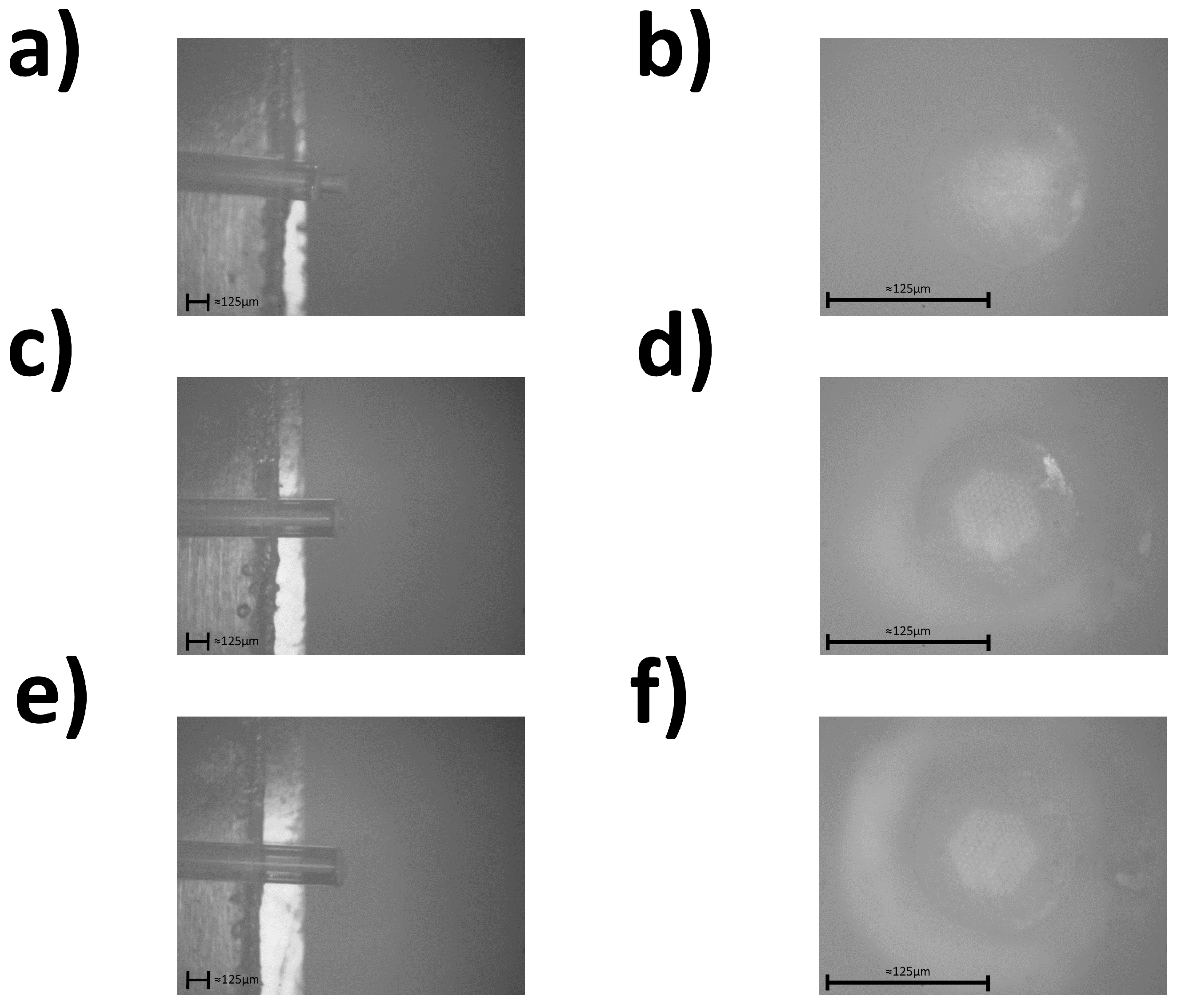 Sensors 24 03707 g007