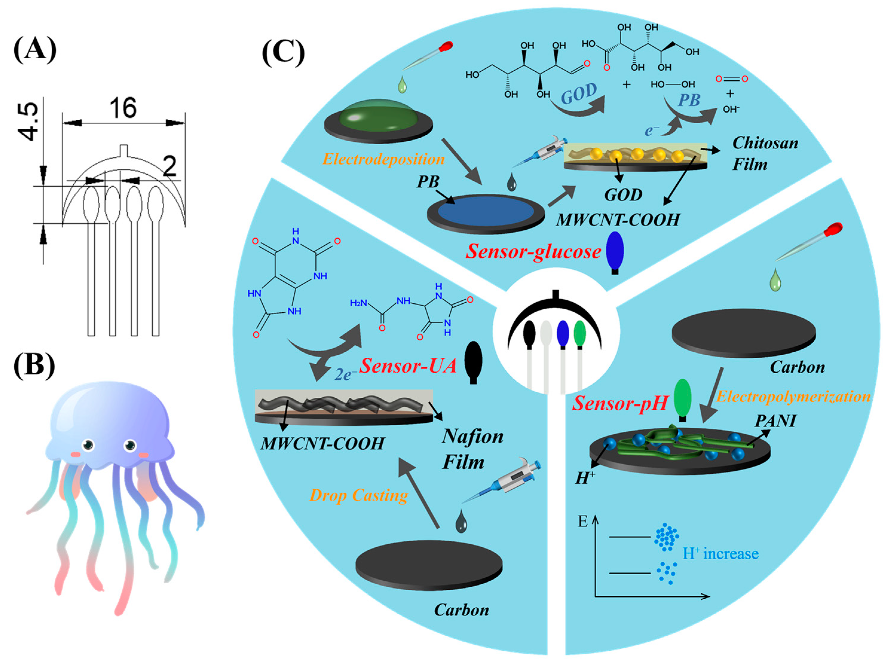 Sensors 24 03729 g001